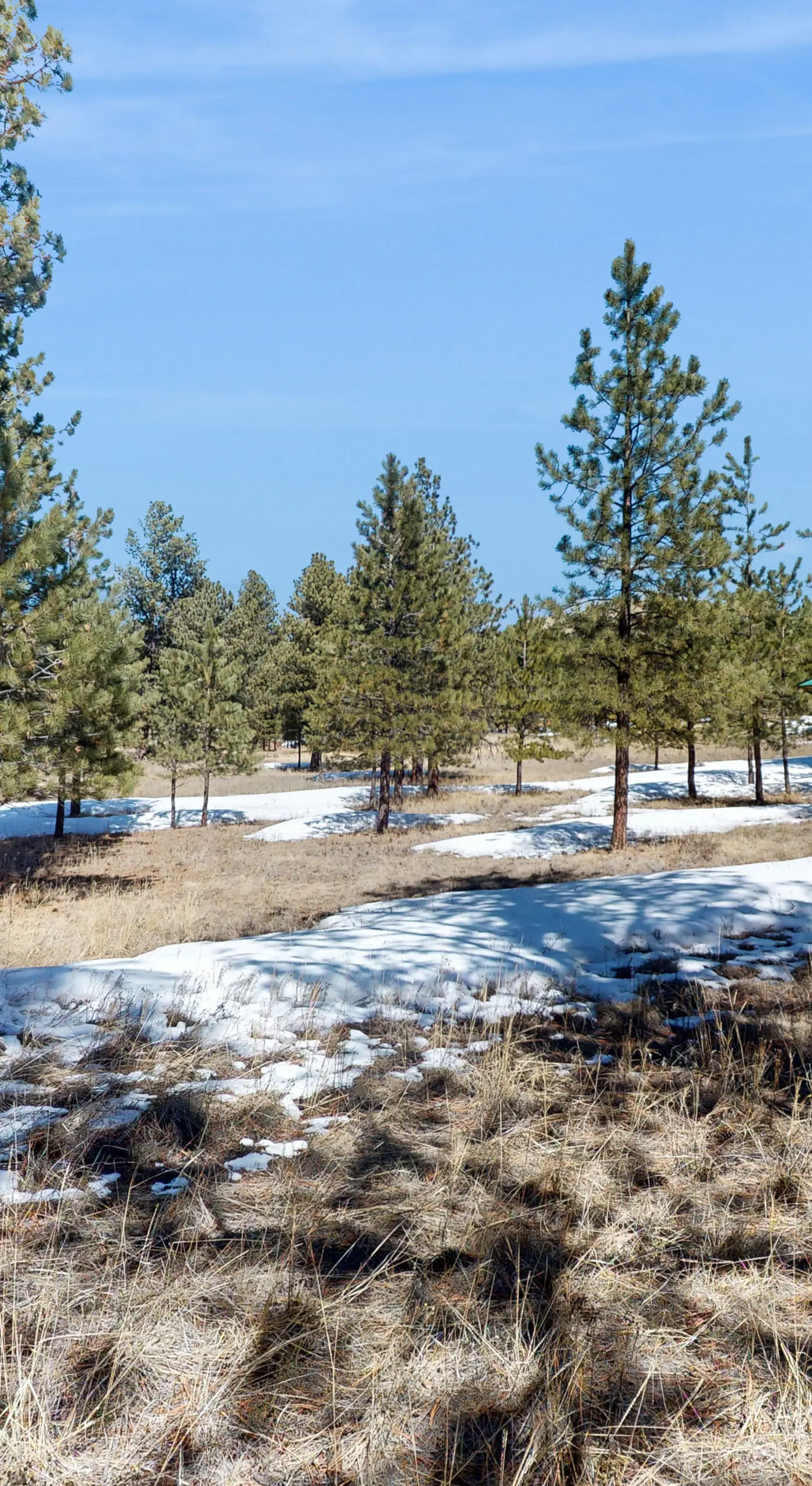 Tranquil Wet Mtn Cabin w/ Views on 3 Acres!
