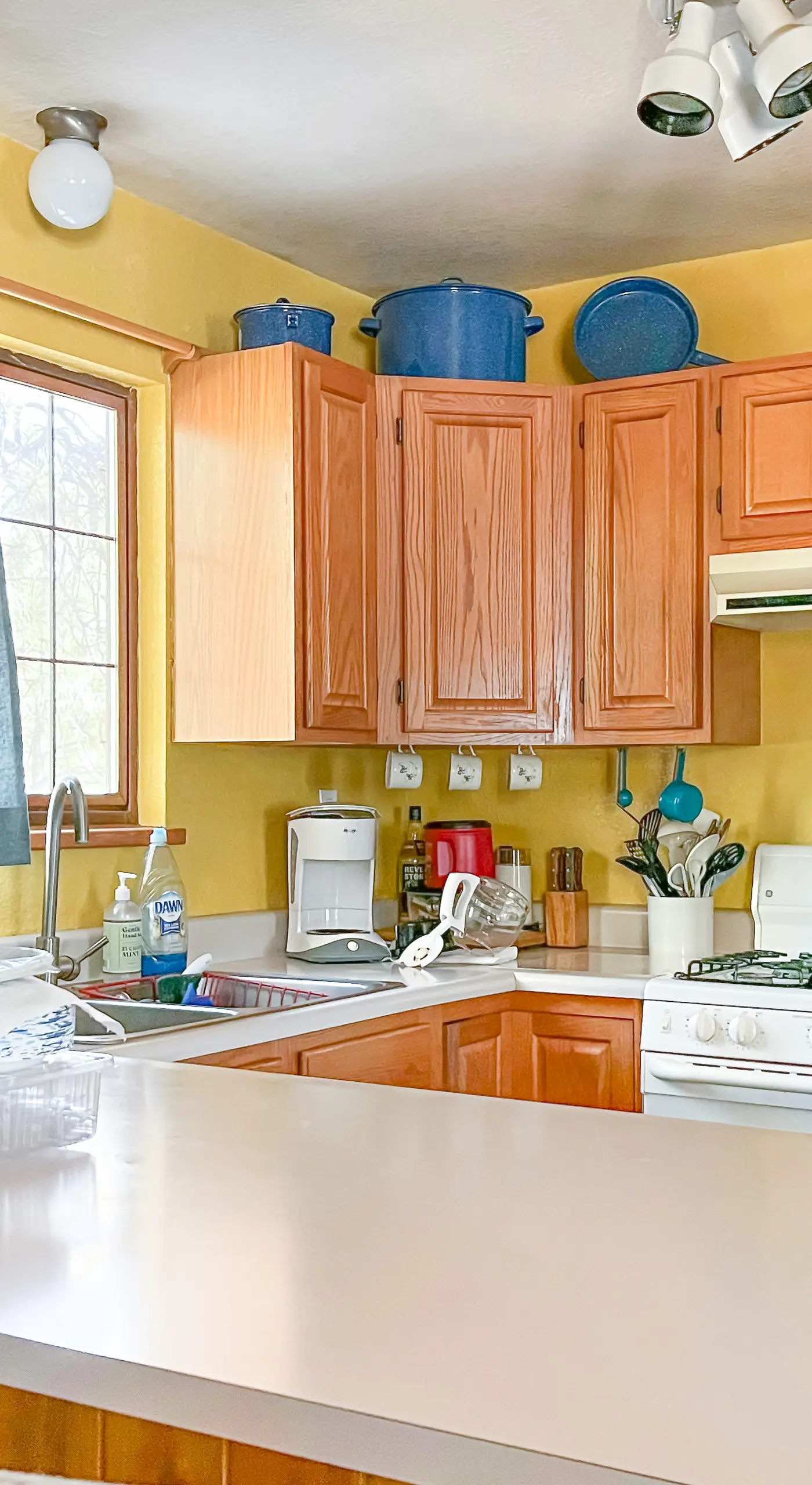 Tranquil Wet Mtn Cabin w/ Views on 3 Acres!
