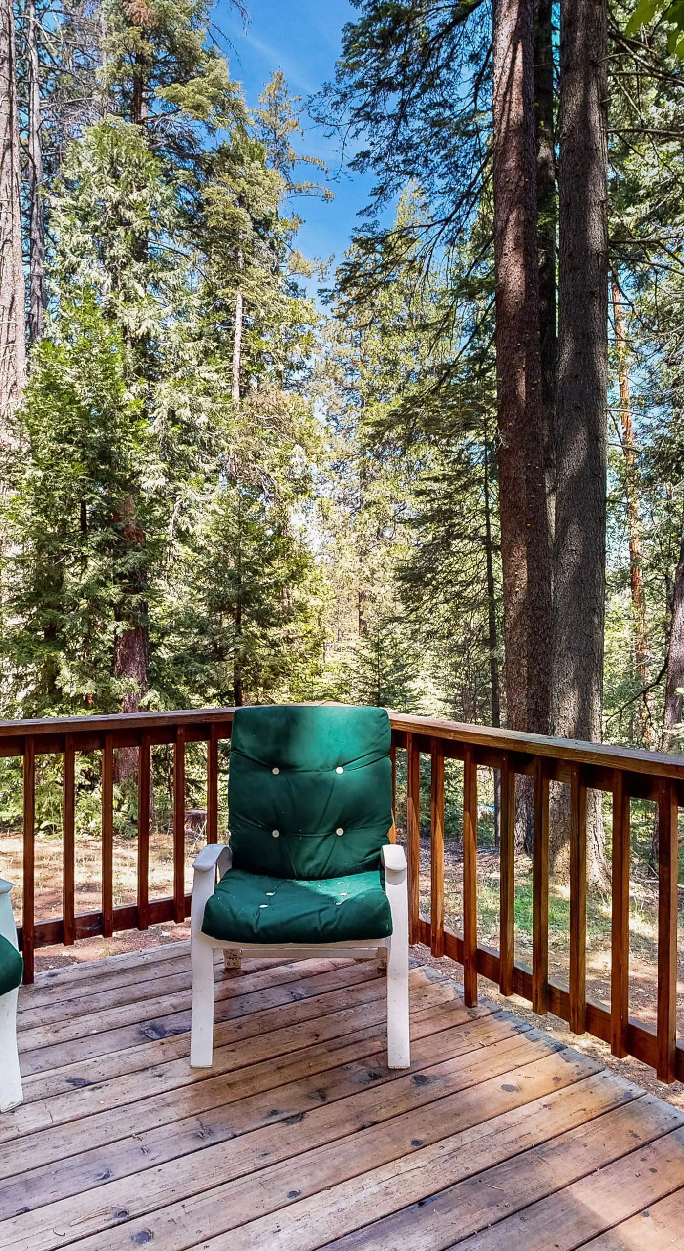 Fire Pit, Near Lake: 'Evergreen Escape' in Arnold