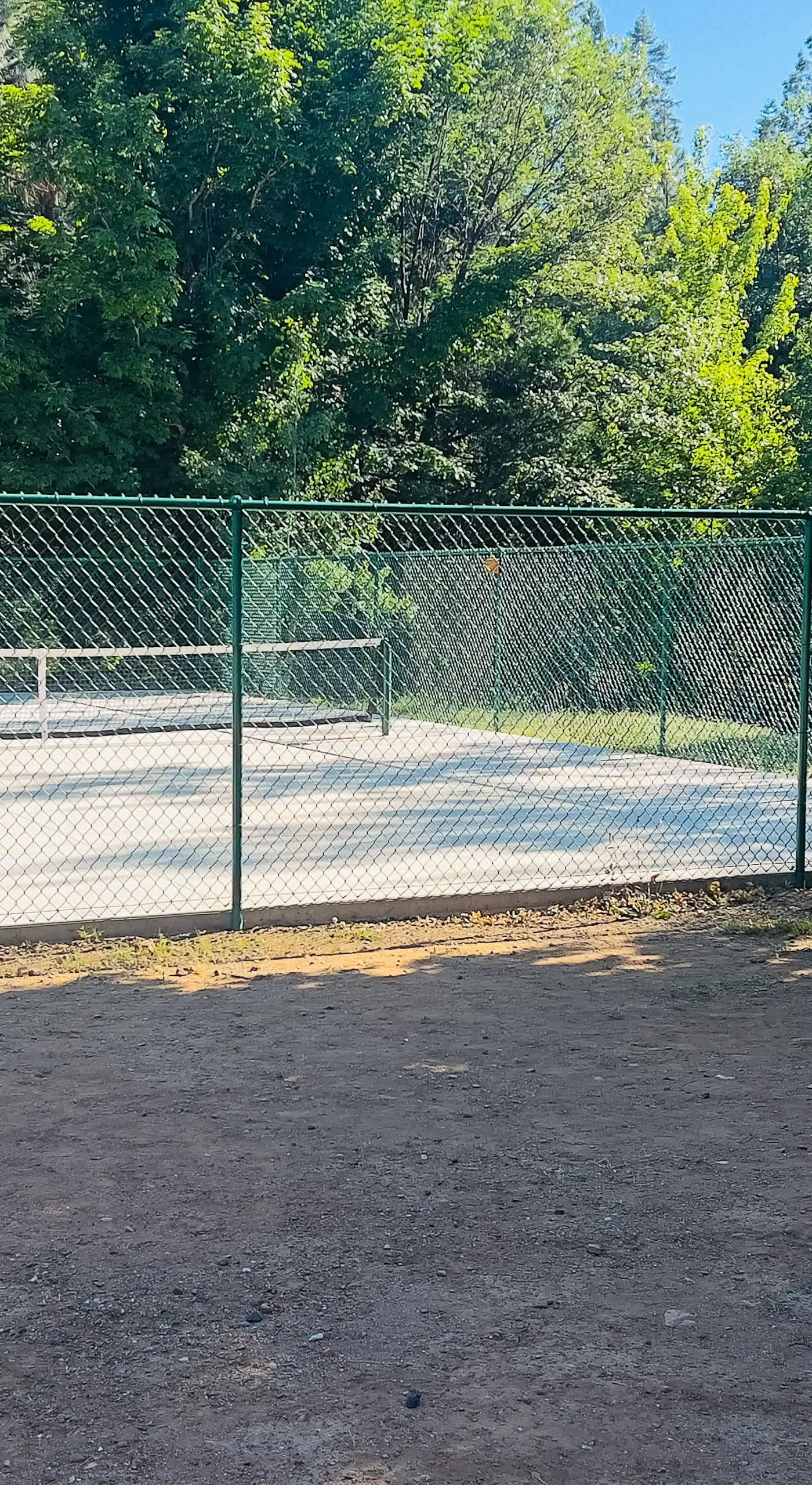 Fire Pit, Near Lake: 'Evergreen Escape' in Arnold