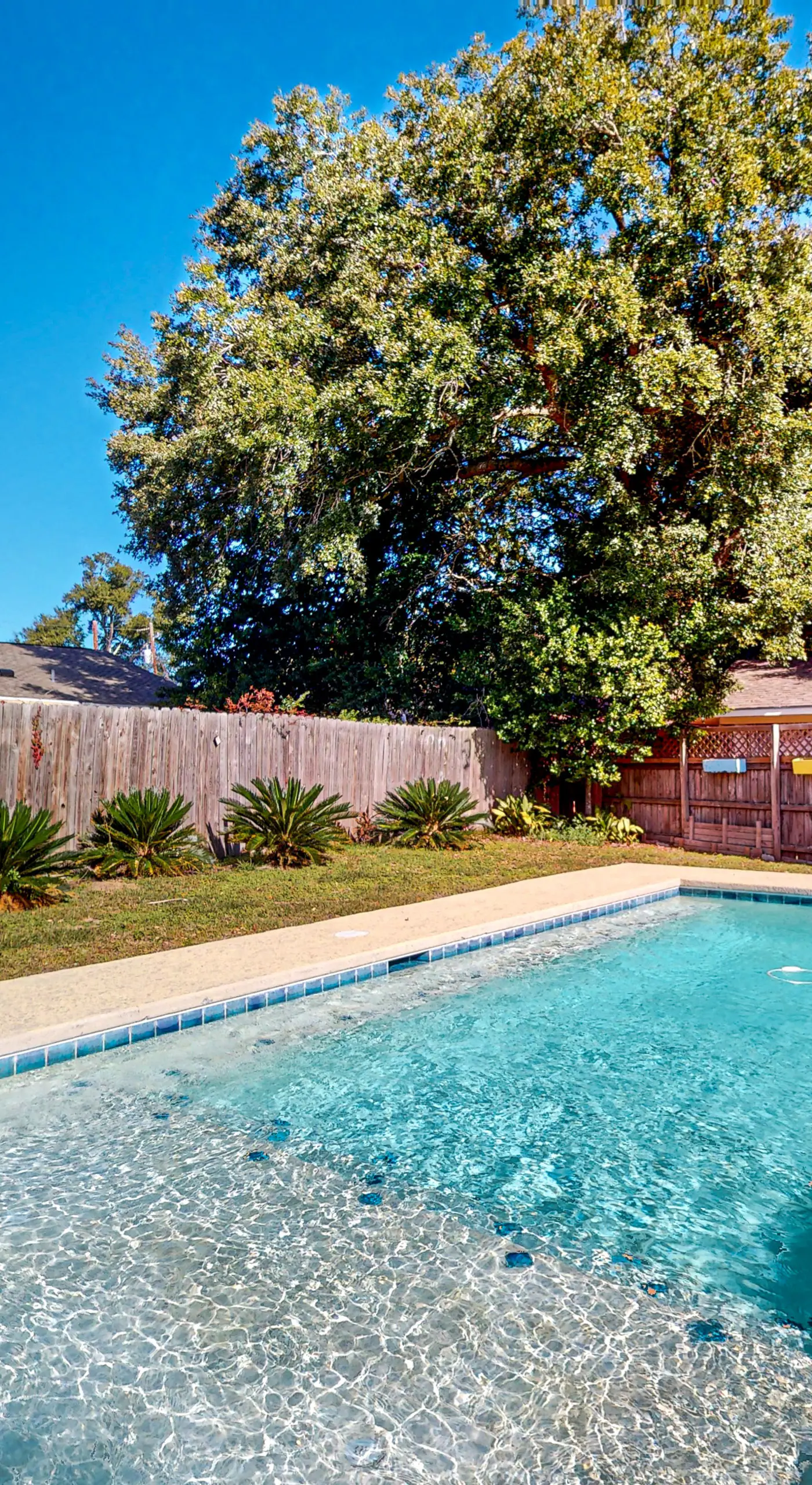 Poolside Bliss! Christian Pass Family Home w/ Yard