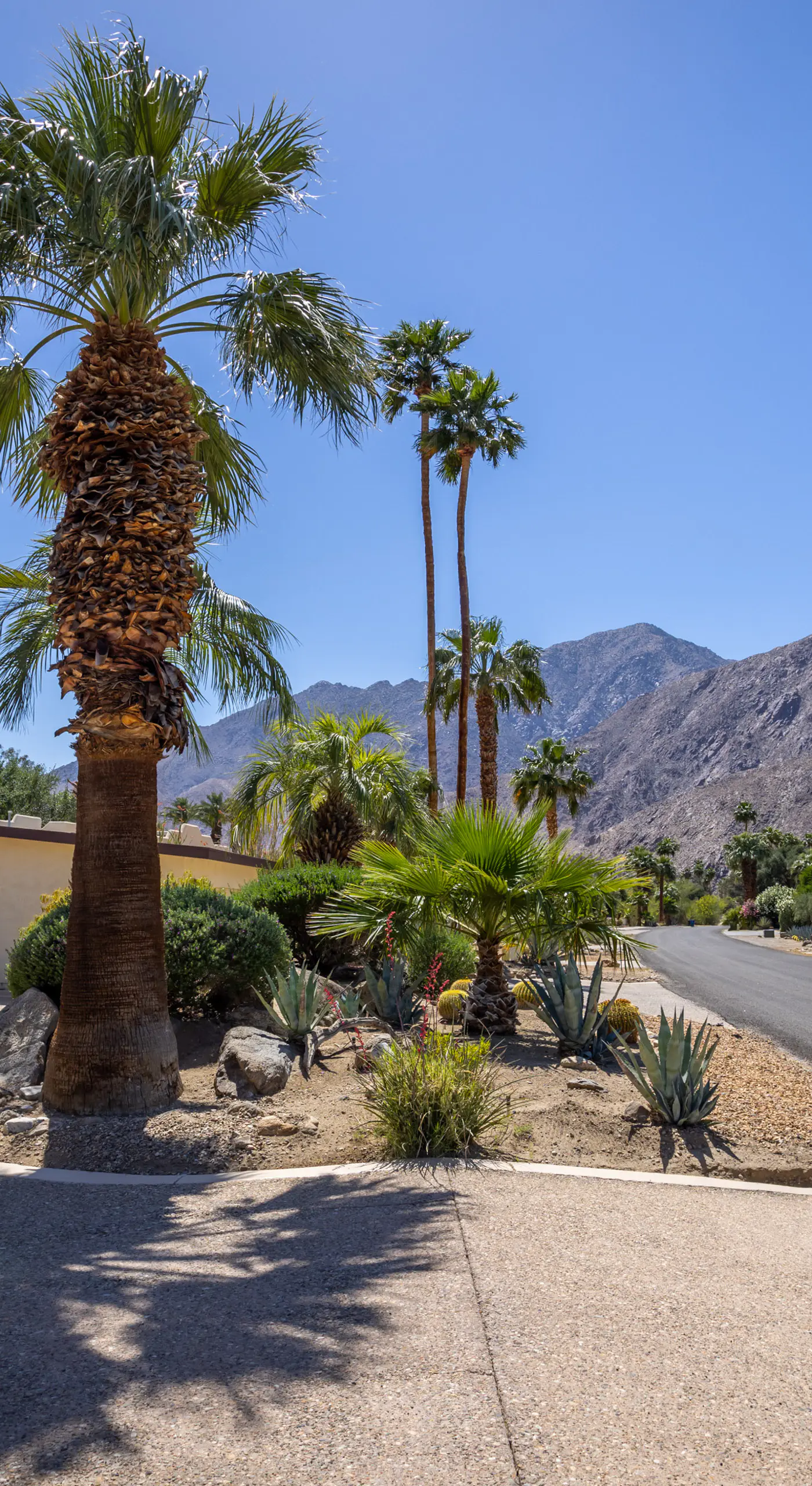 Poolside Splendor! Spacious De Anza Golf Club Home