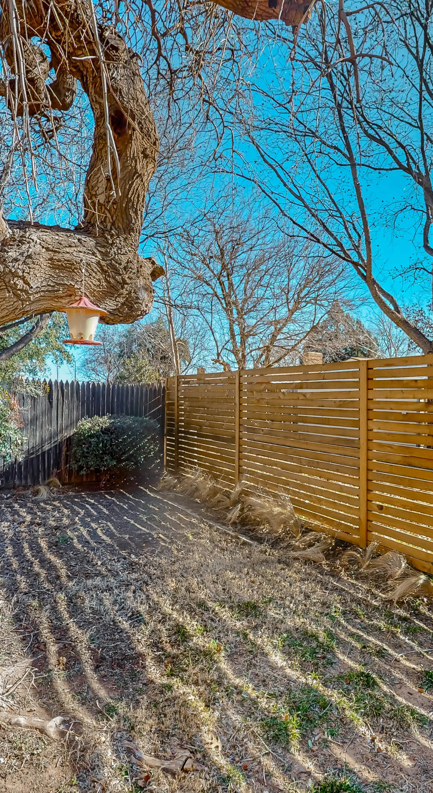 Dog-Friendly Lubbock Home w/ Backyard