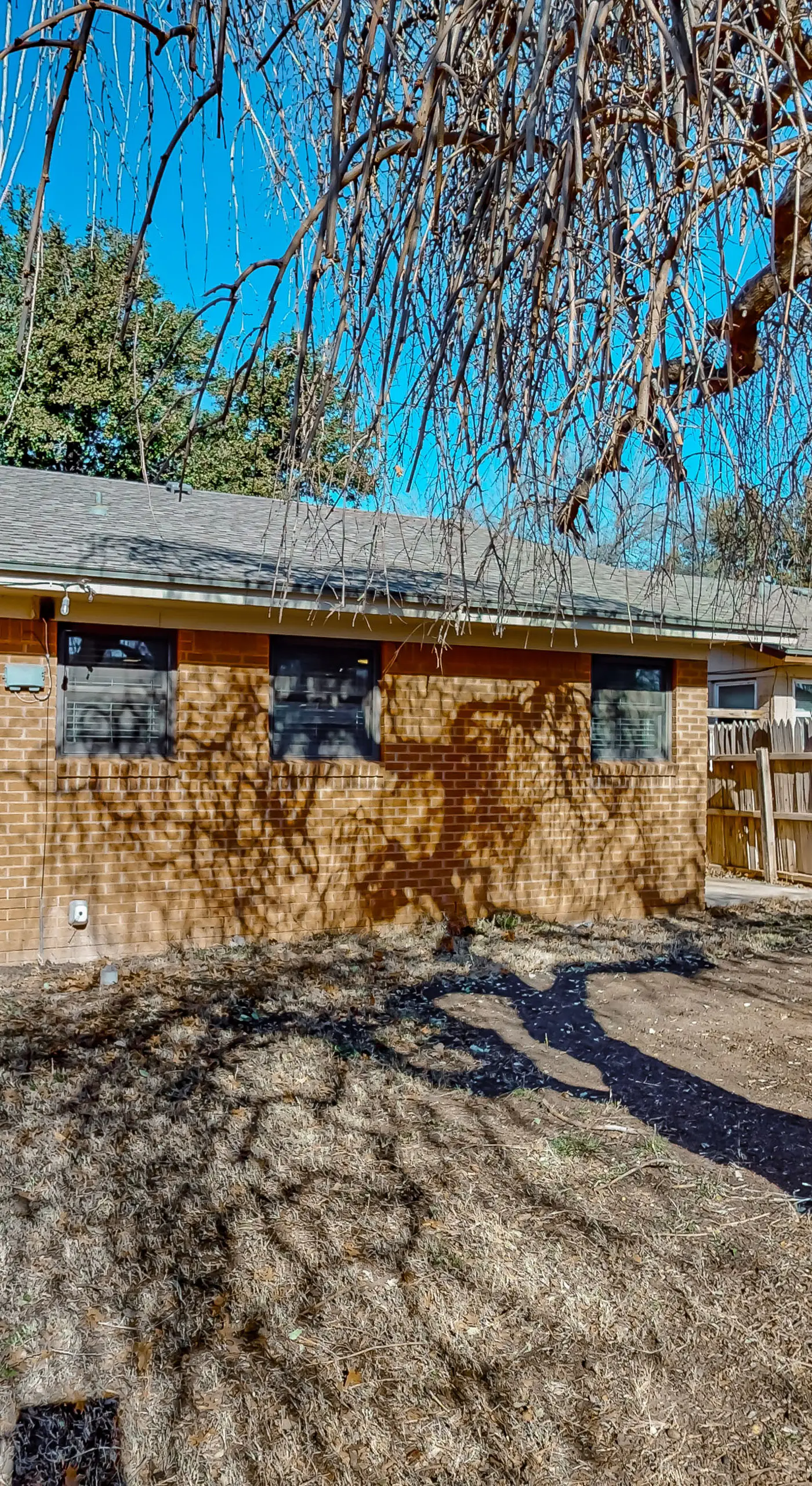 Dog-Friendly Lubbock Home w/ Backyard