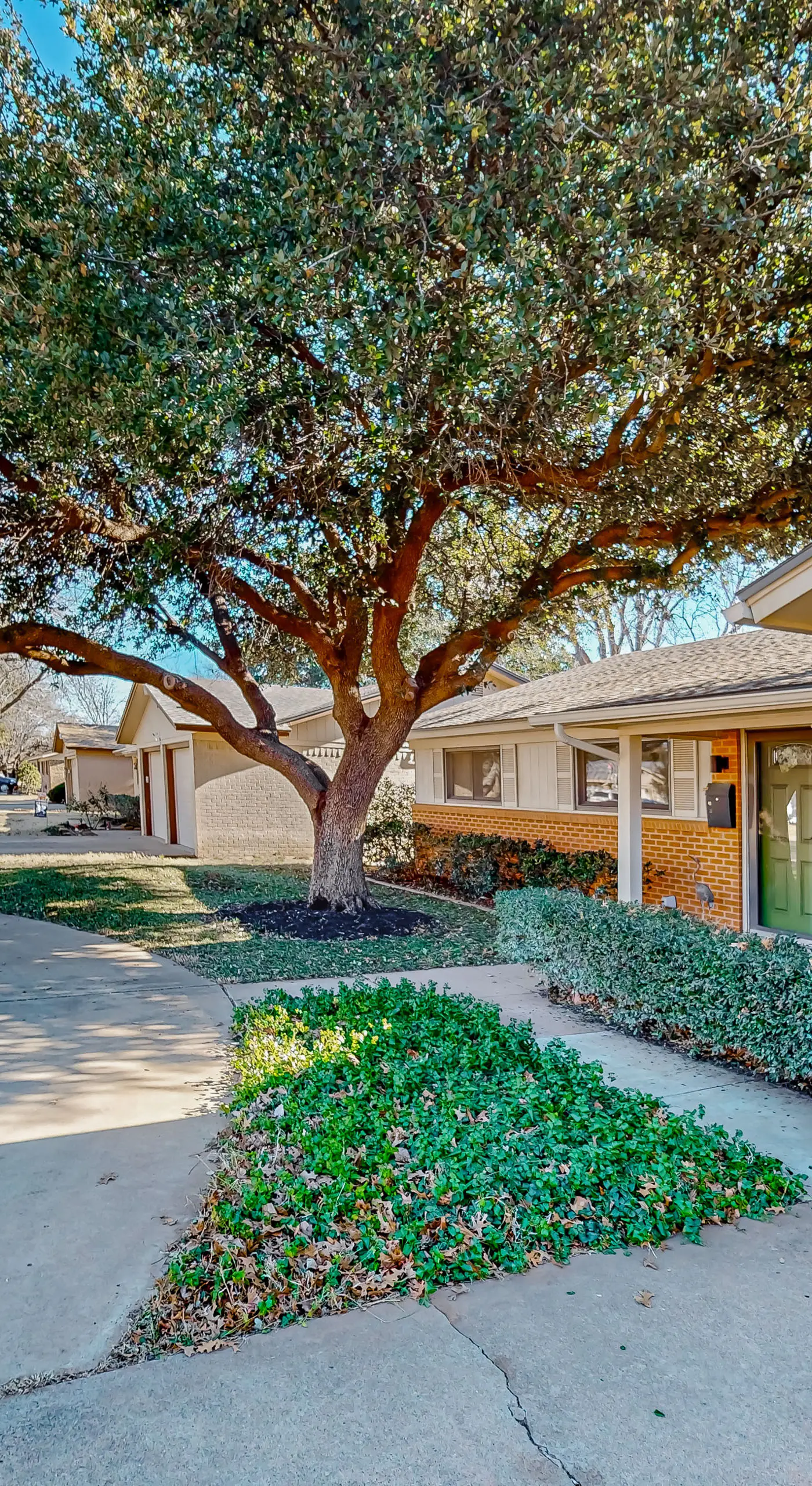 Dog-Friendly Lubbock Home w/ Backyard