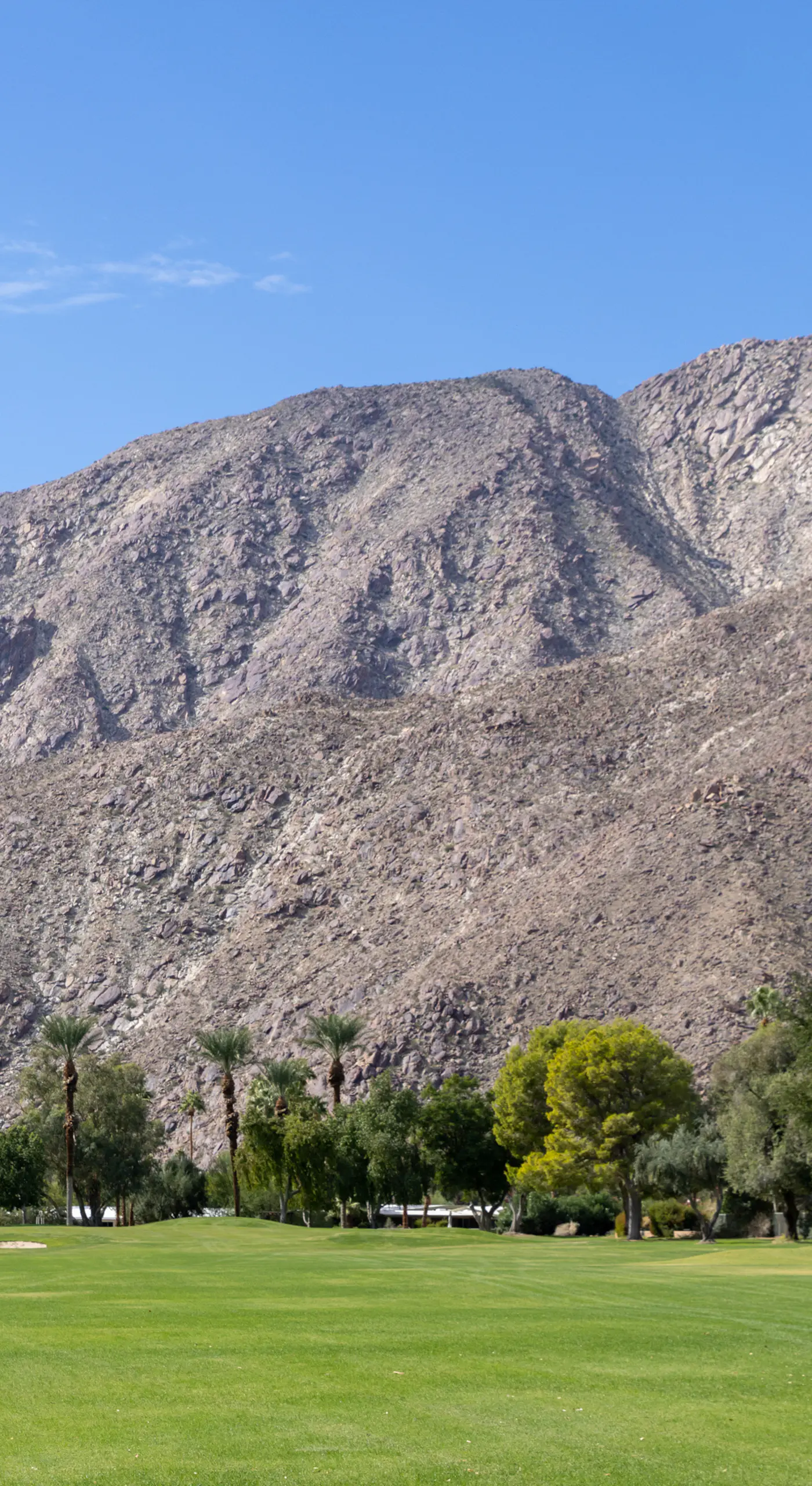 Pool & Mtn View! Designer Borrego Springs Hideaway