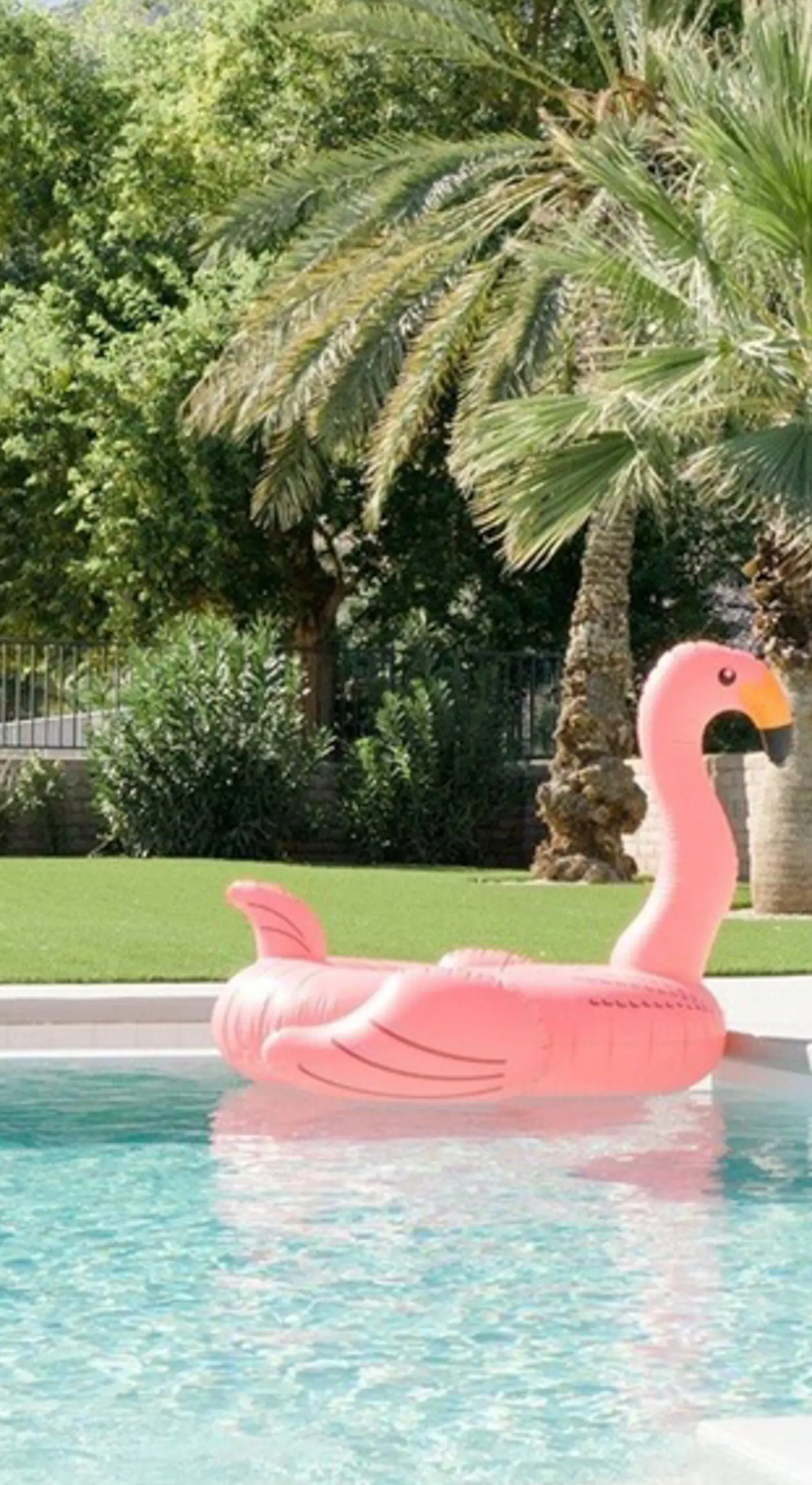 Pool & Mtn View! Designer Borrego Springs Hideaway
