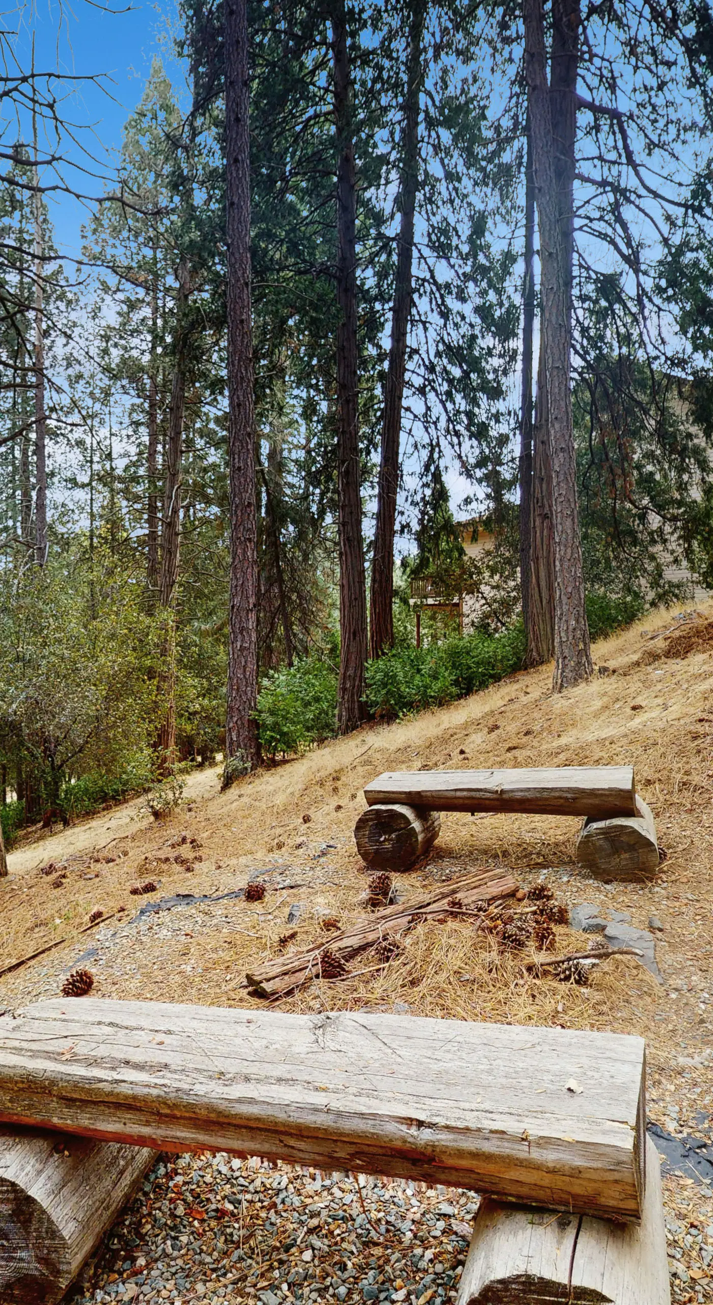 Games, Covered Deck: Family Home 28 Mi to Yosemite