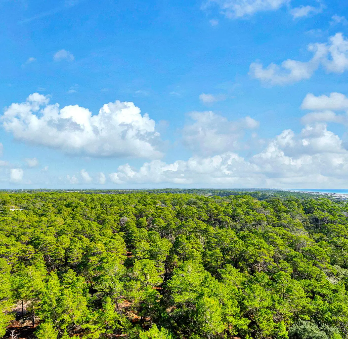 Vibrant condo with Resort amenities near beach