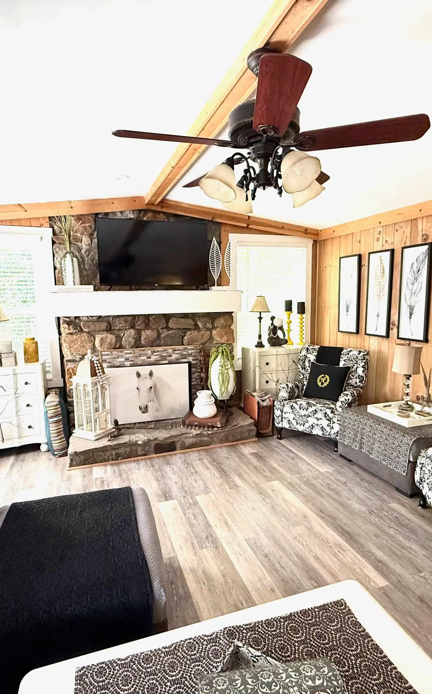 Lakeside Cove, Private Lake, Dog-friendly, Trout Fishing & Mountain Views