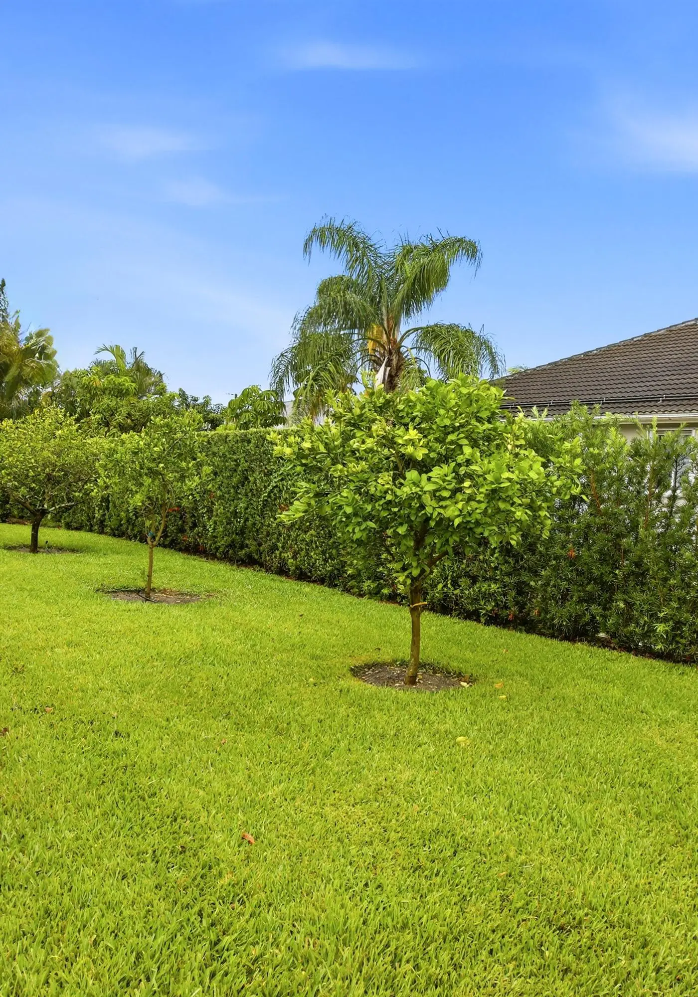 Spacious 3 Bedroom Naples Home with Private Pool and Near Ocean Access