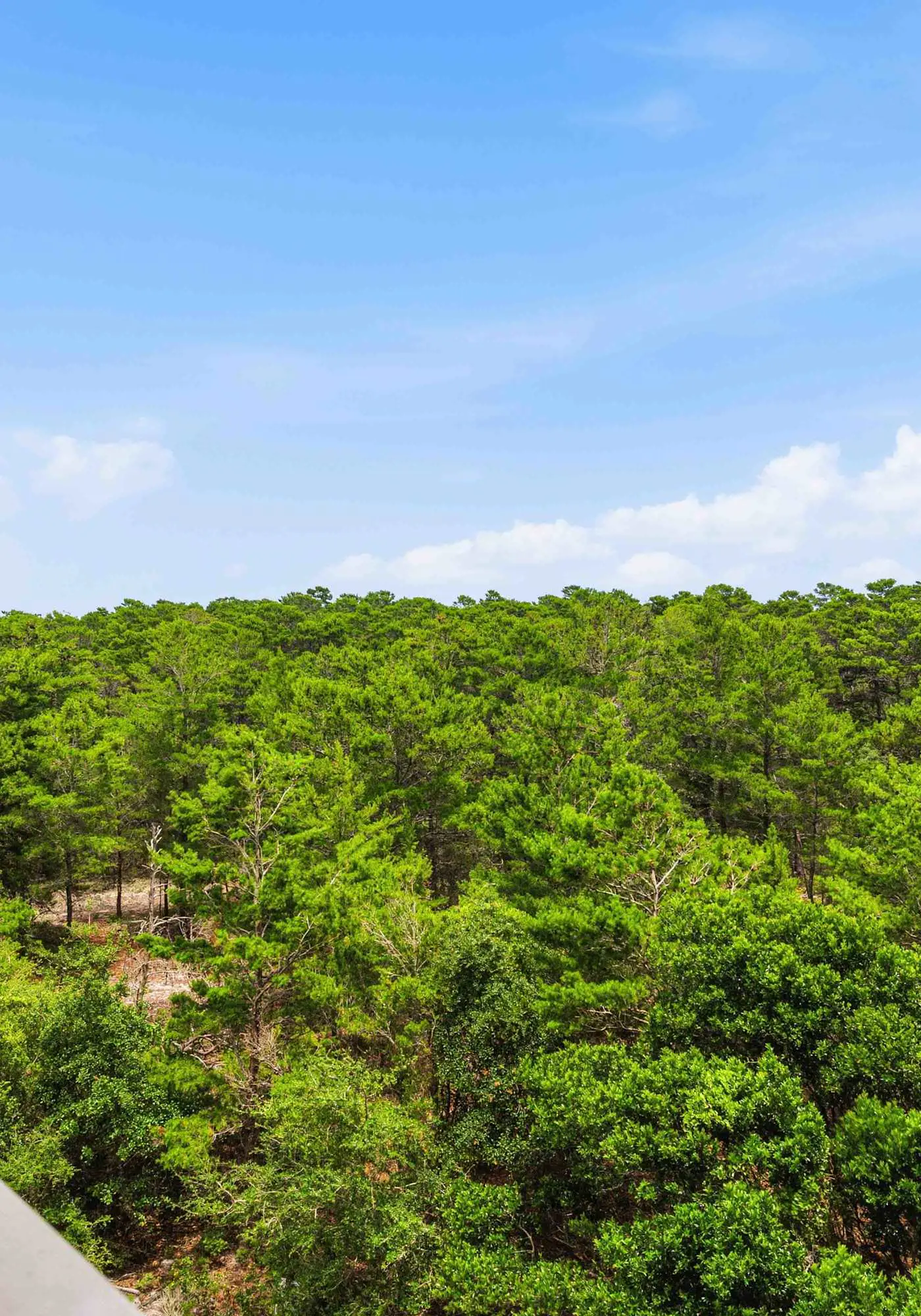 Luxury 2 Bedroom Miramar Beach Escape at TOPS'L