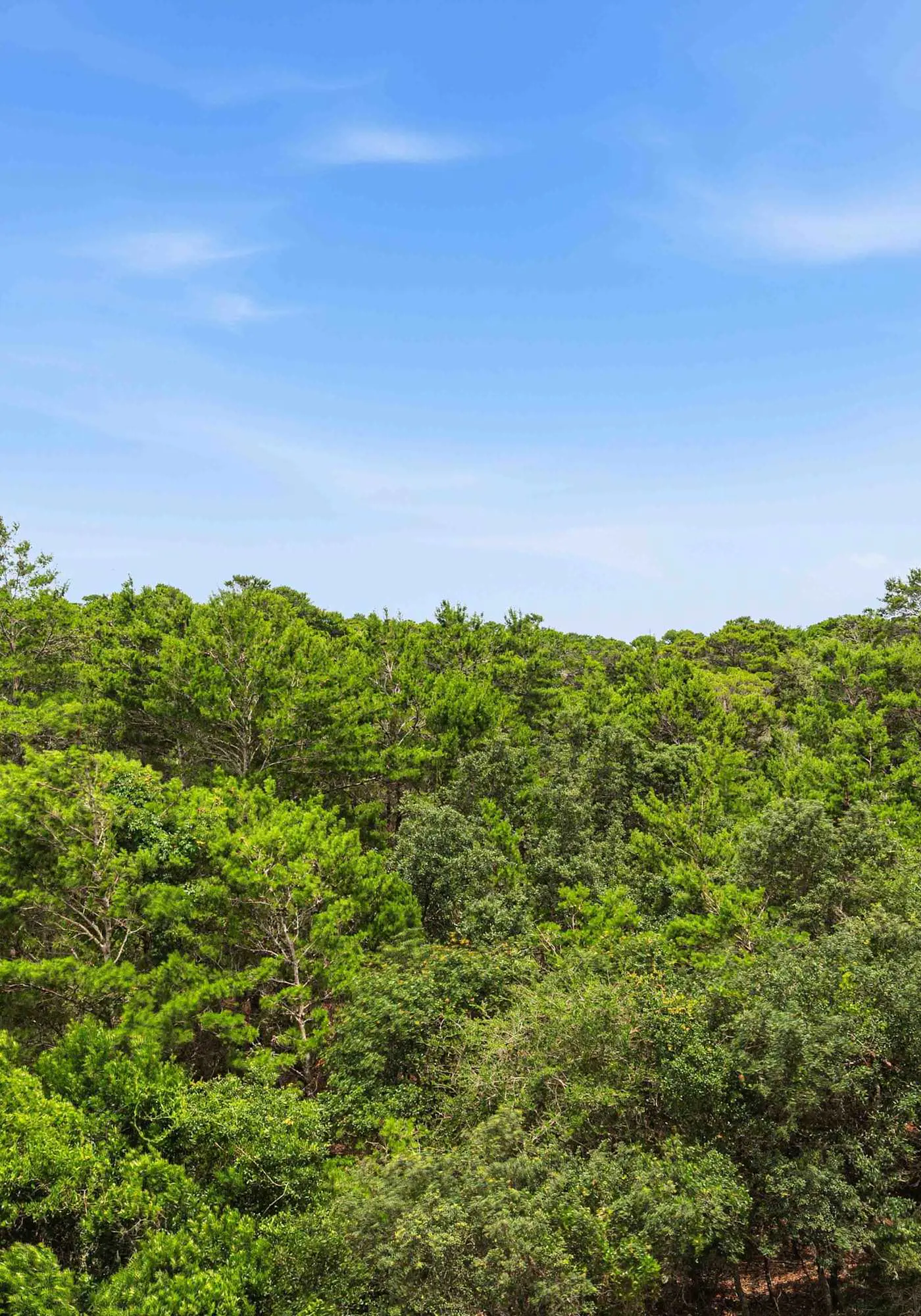 Luxury 2 Bedroom Miramar Beach Escape at TOPS'L