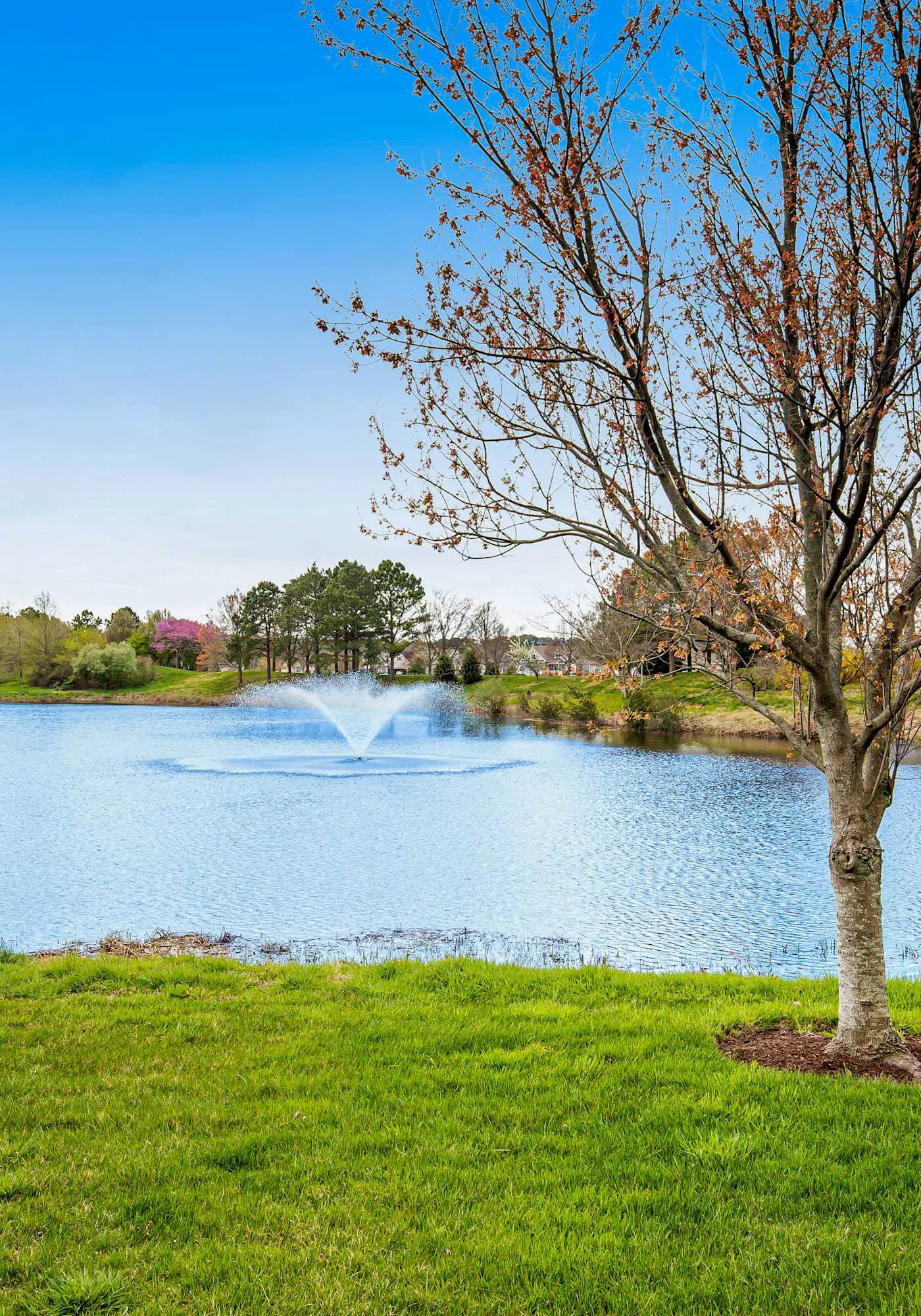 Bear Trap Dunes - 45D Willow Oak Ave