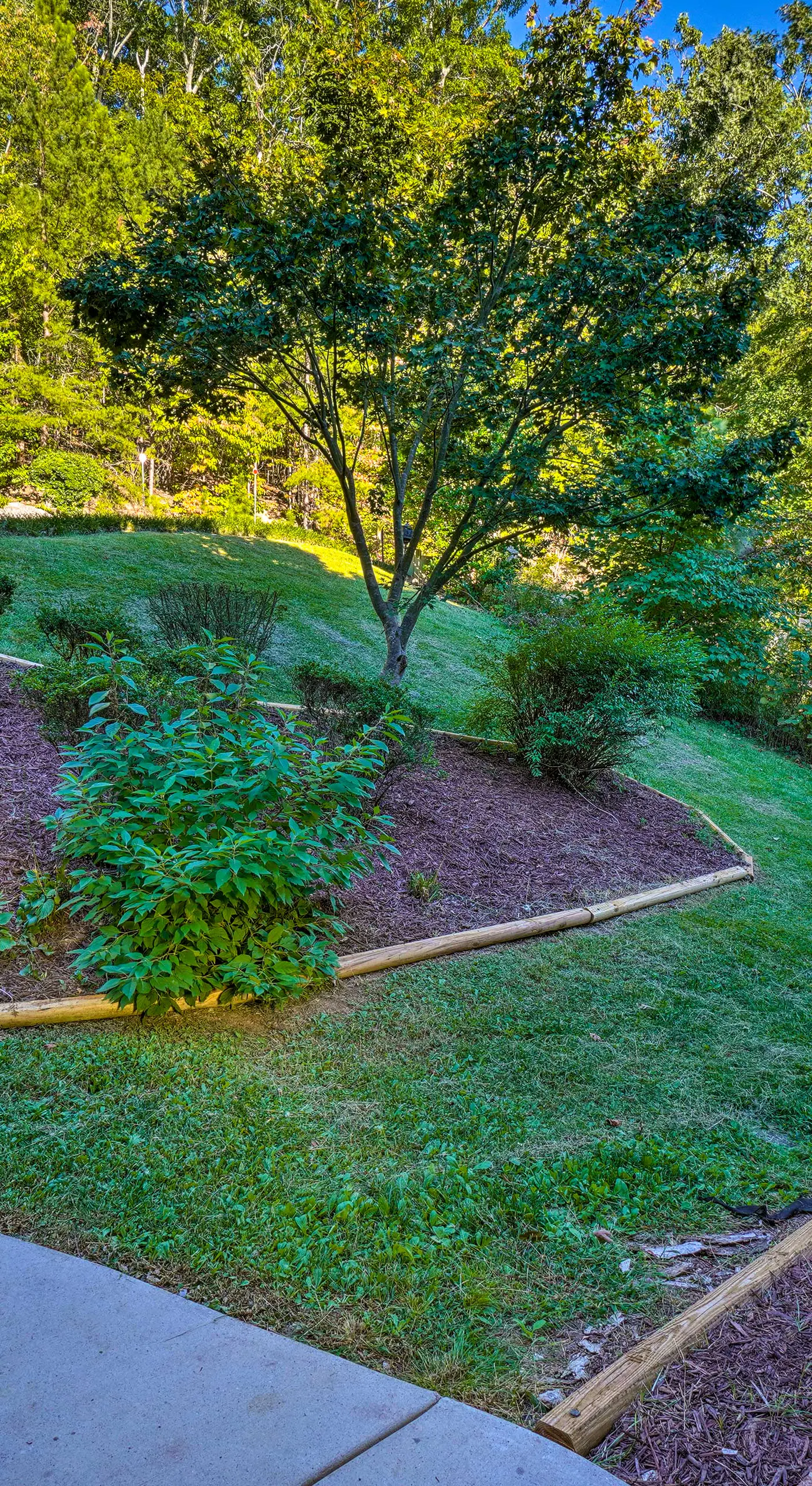 Luxe Lake Chickamauga Retreat w/ Boat Dock!