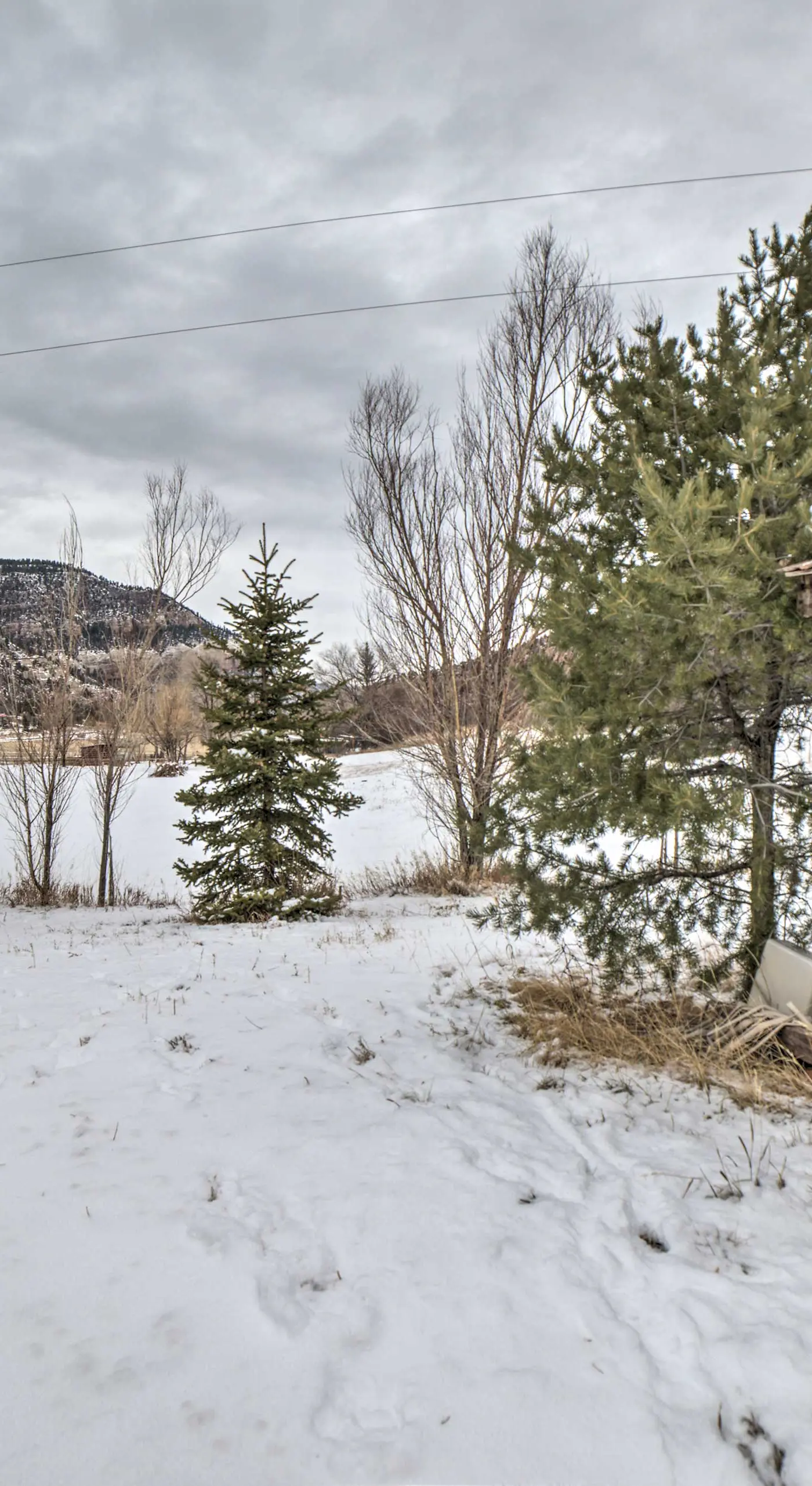 Cozy Durango Apt w/ Mtn View ~ 6 Mi to Downtown!