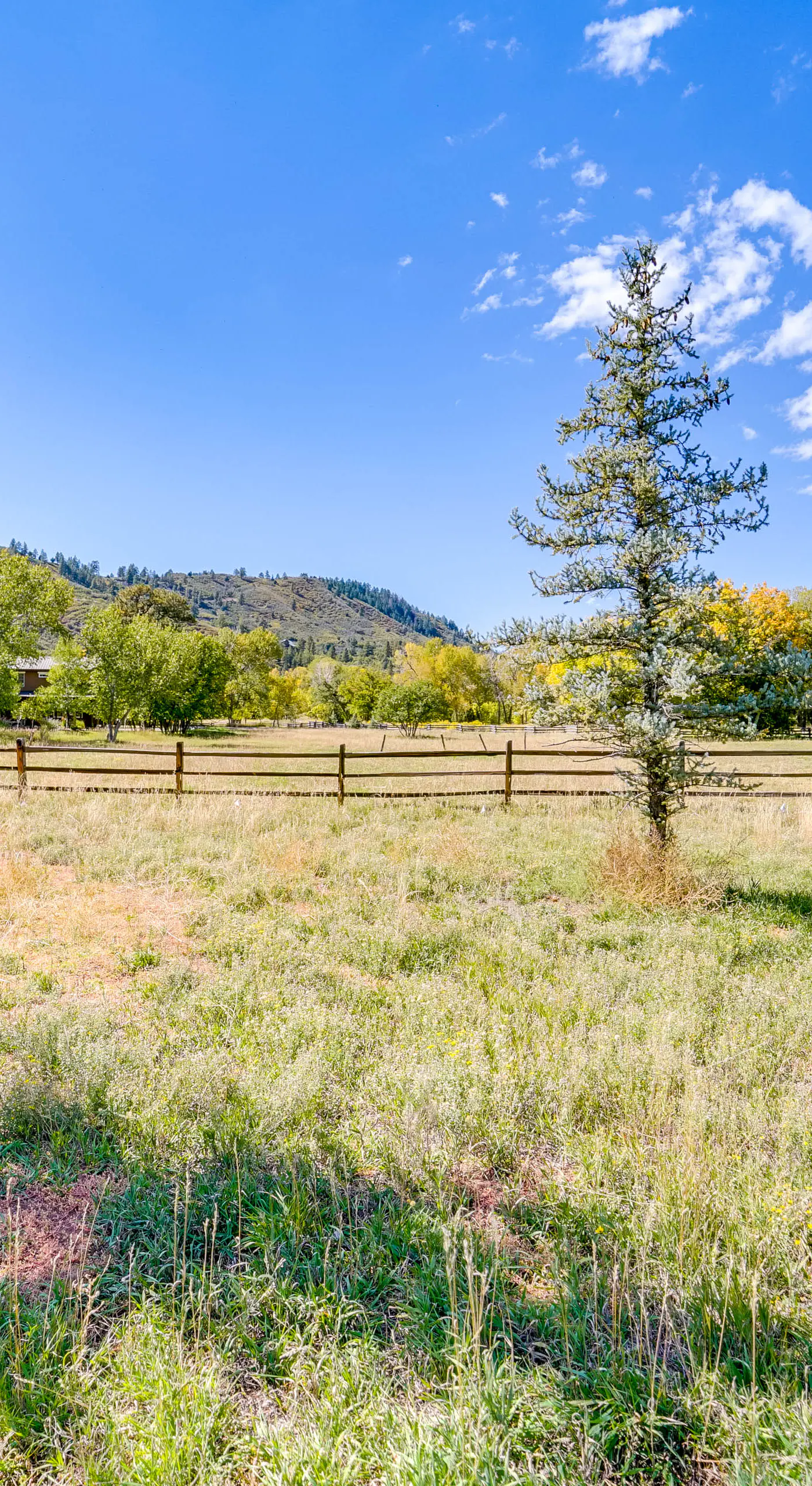 Dog-Friendly Home w/ Hot Tub & Decks in Durango!