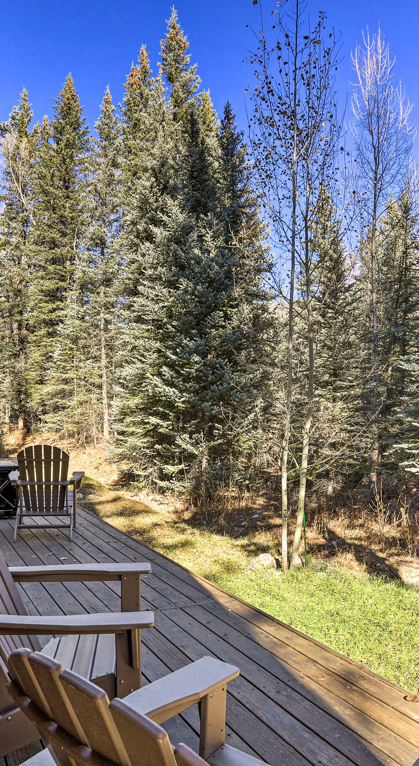 Bayfield Cabin w/ Wraparound Deck & Fire Pit