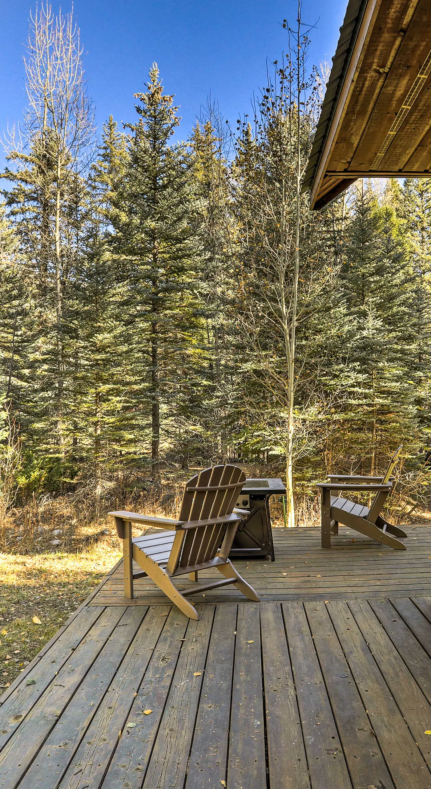 Bayfield Cabin w/ Wraparound Deck & Fire Pit