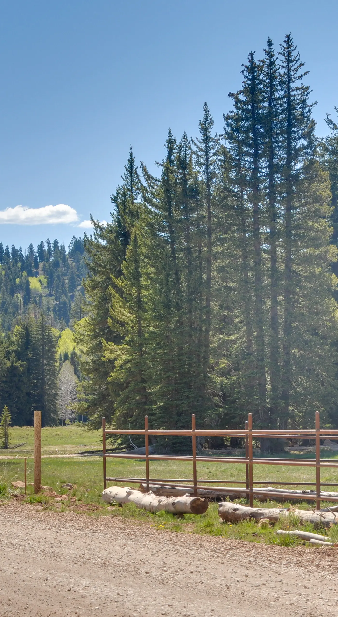 'Aspen Meadow Cabin' ~ 9 Miles Outside Duck Creek