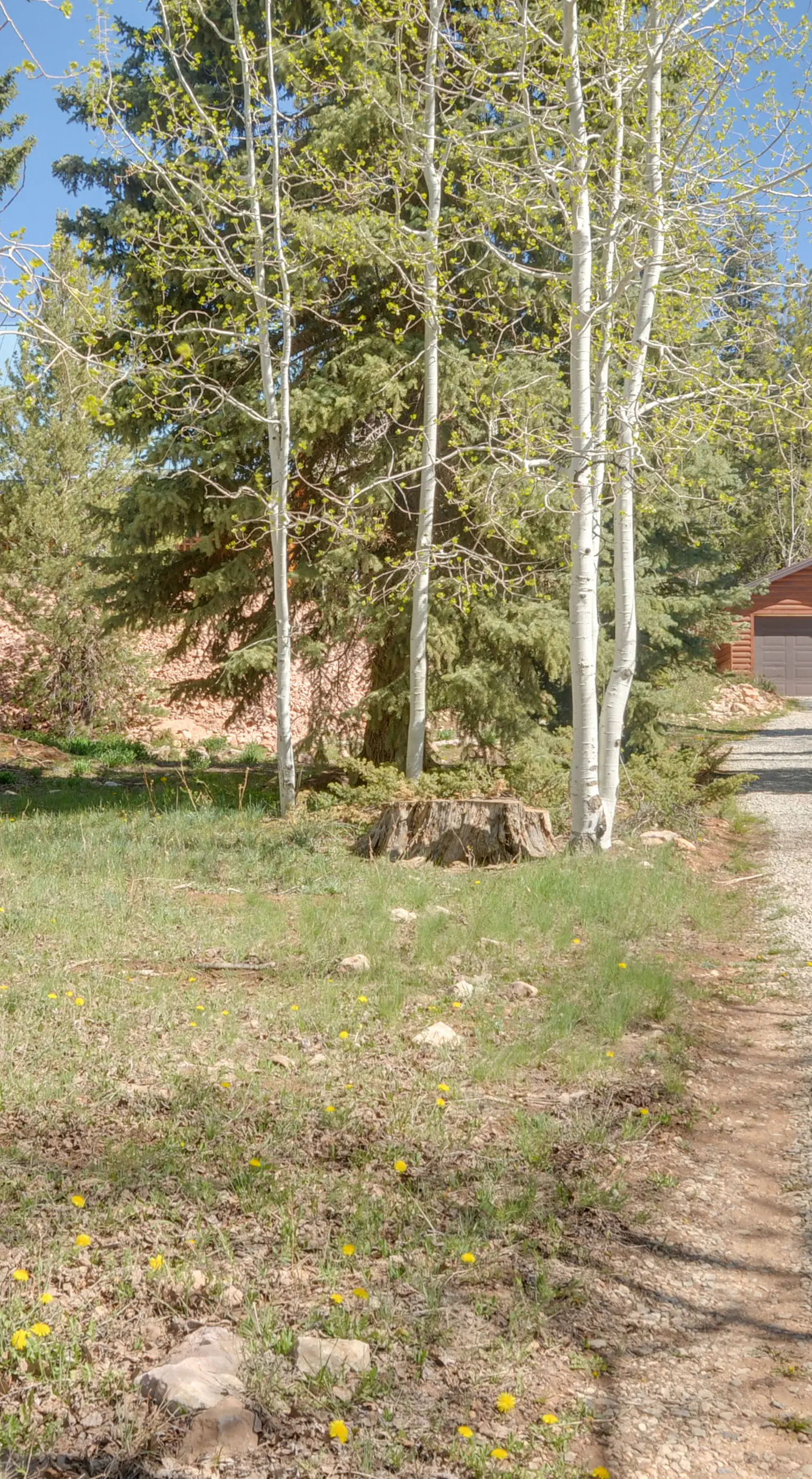 'Aspen Meadow Cabin' ~ 9 Miles Outside Duck Creek