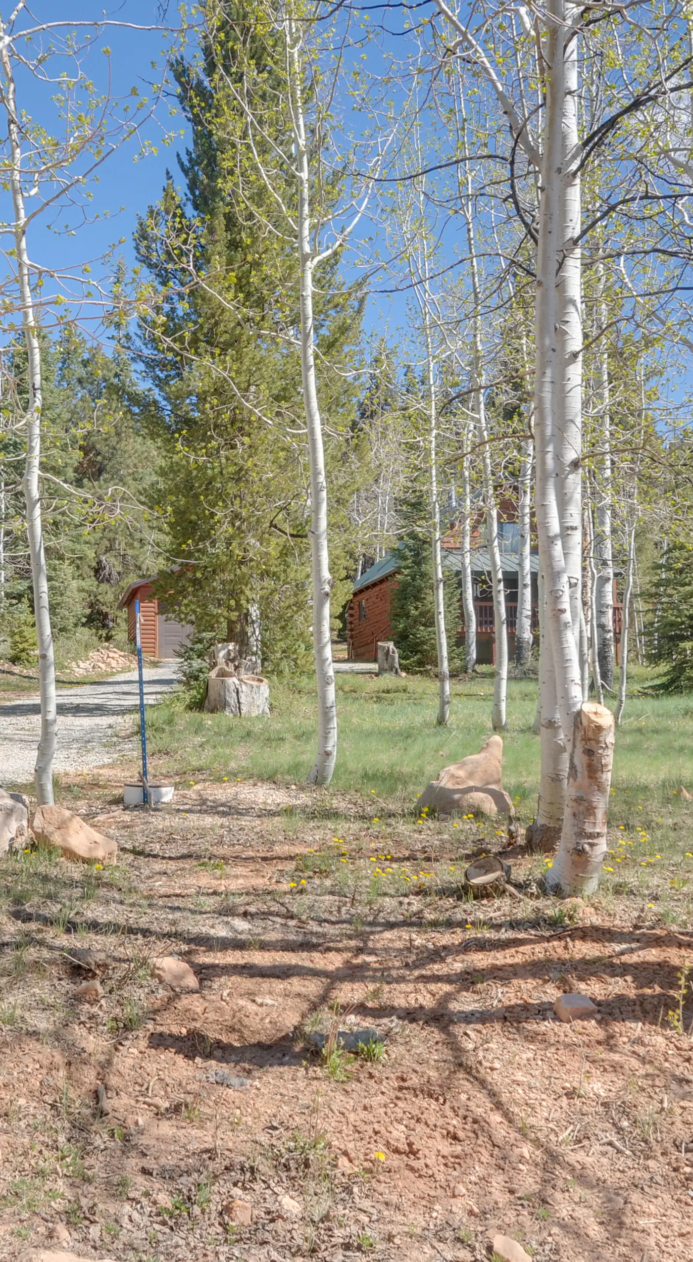 'Aspen Meadow Cabin' ~ 9 Miles Outside Duck Creek