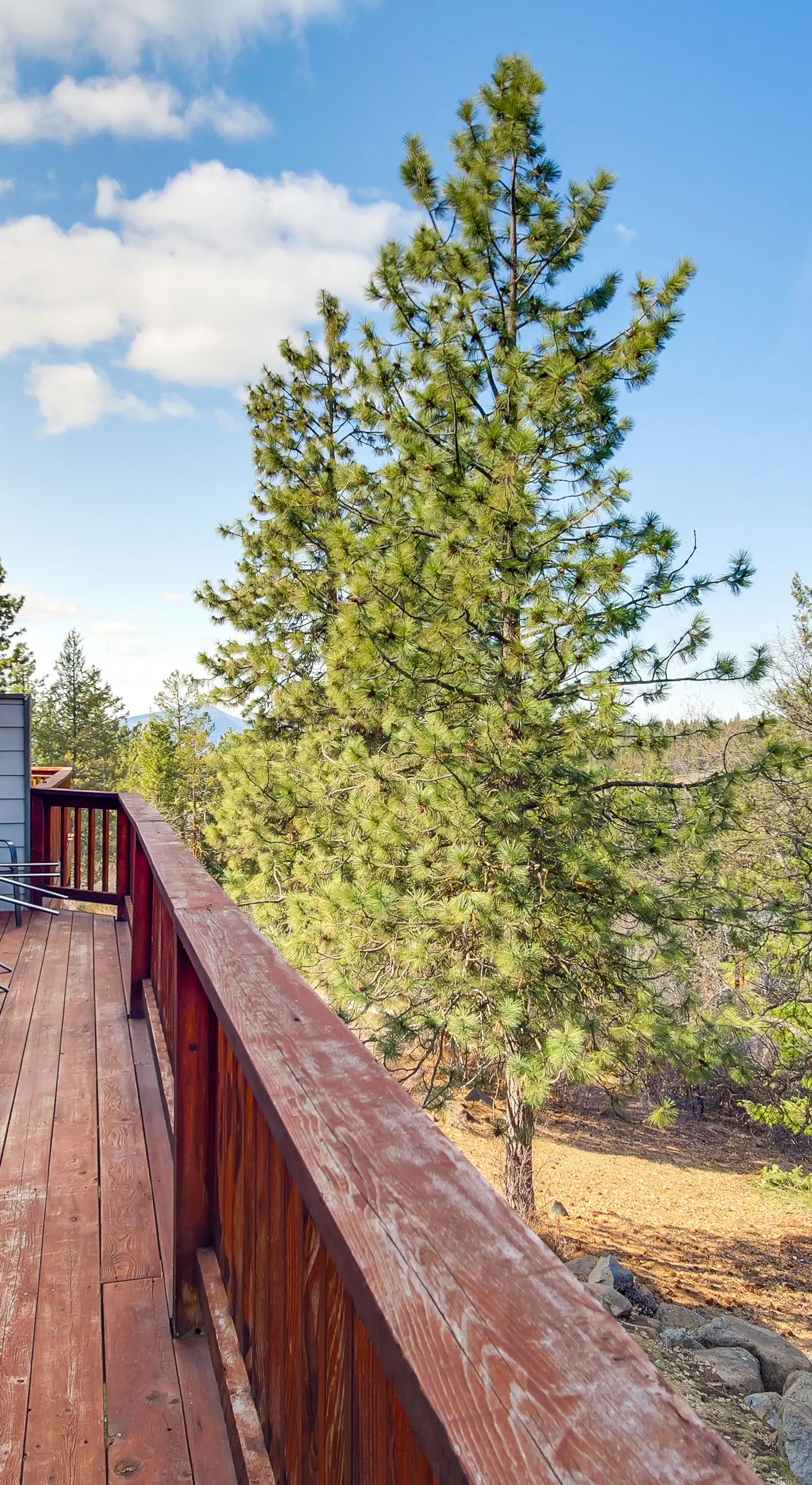 Pool & Hot Tub Access! Running Y Retreat w/ Deck