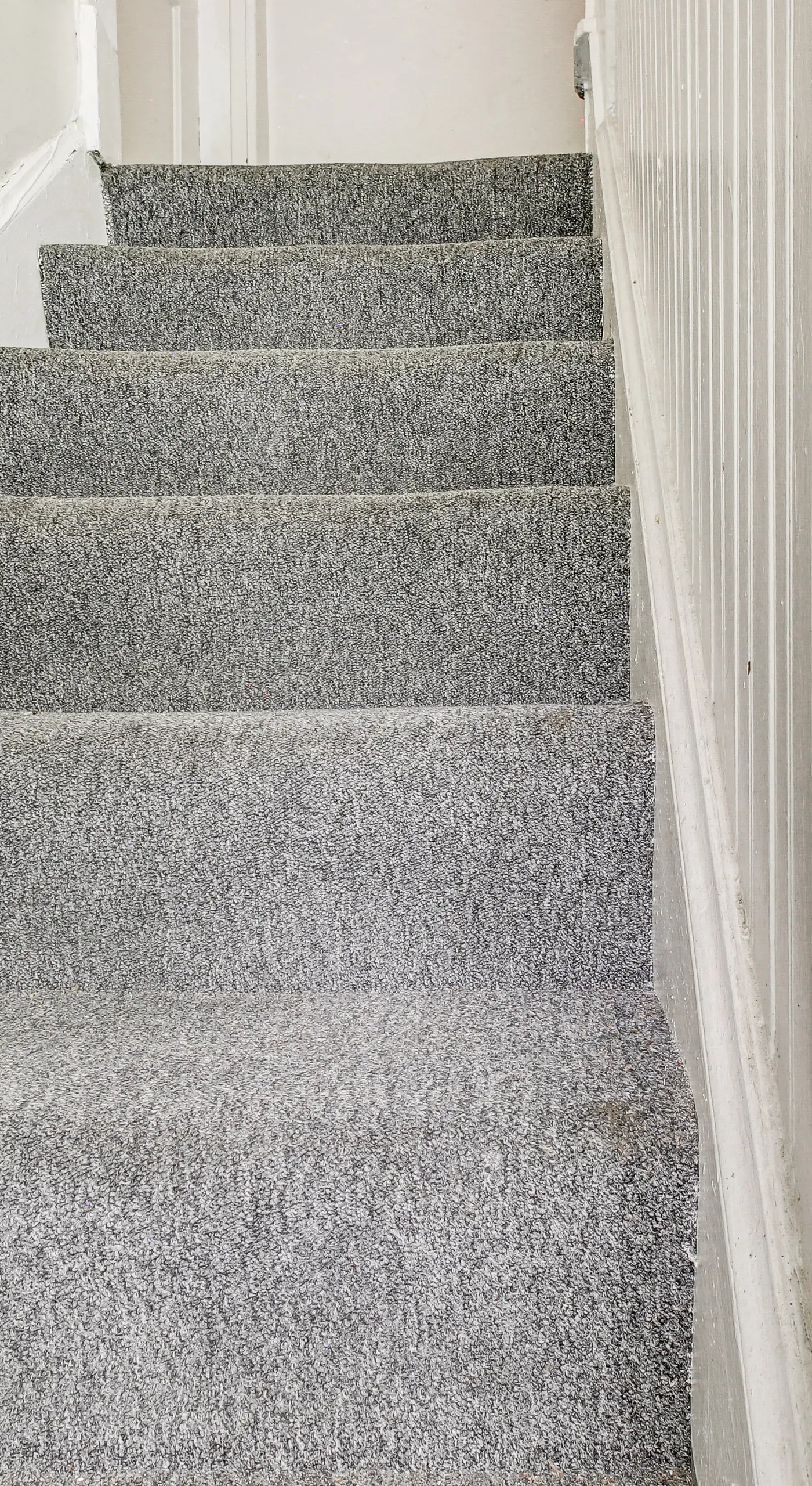 Pet-Friendly Cincinnati Apt: 5 Mi to Downtown!