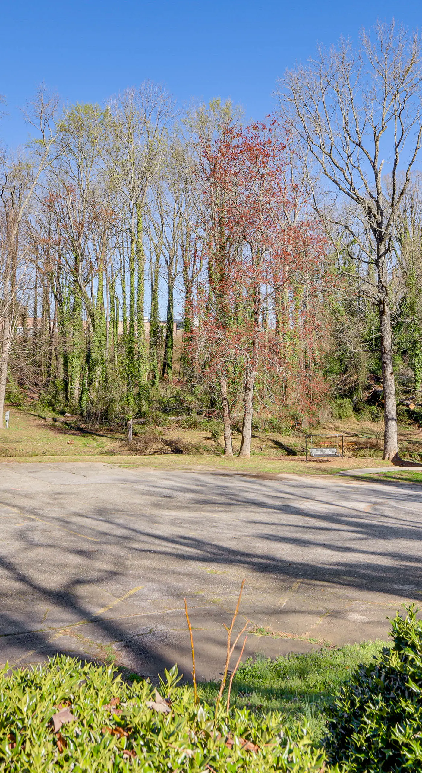 < 3 Mi to Downtown Greenville! Convenient 2BR Home