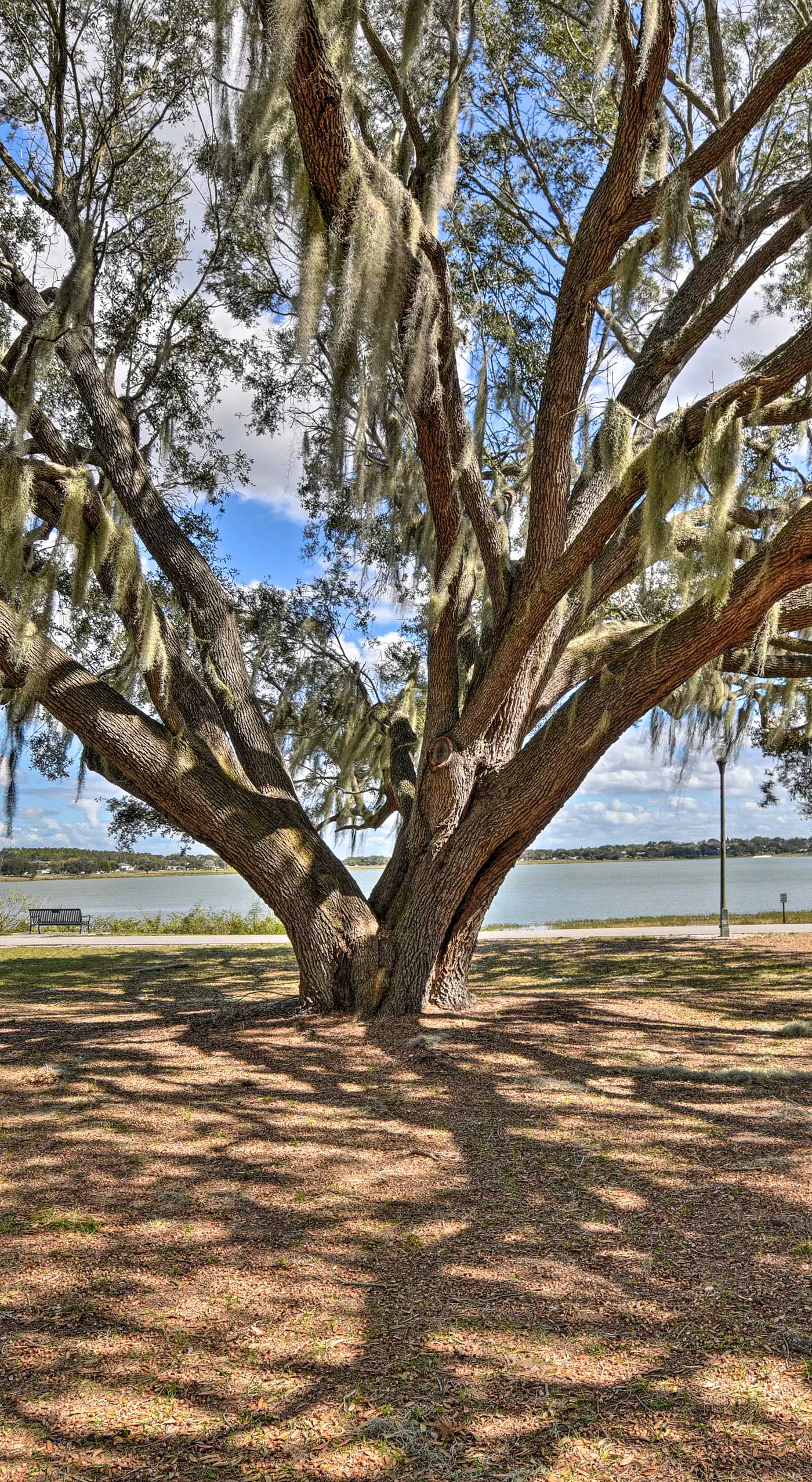 Cottage w/ Private Pool - Walk to Lake Wales!