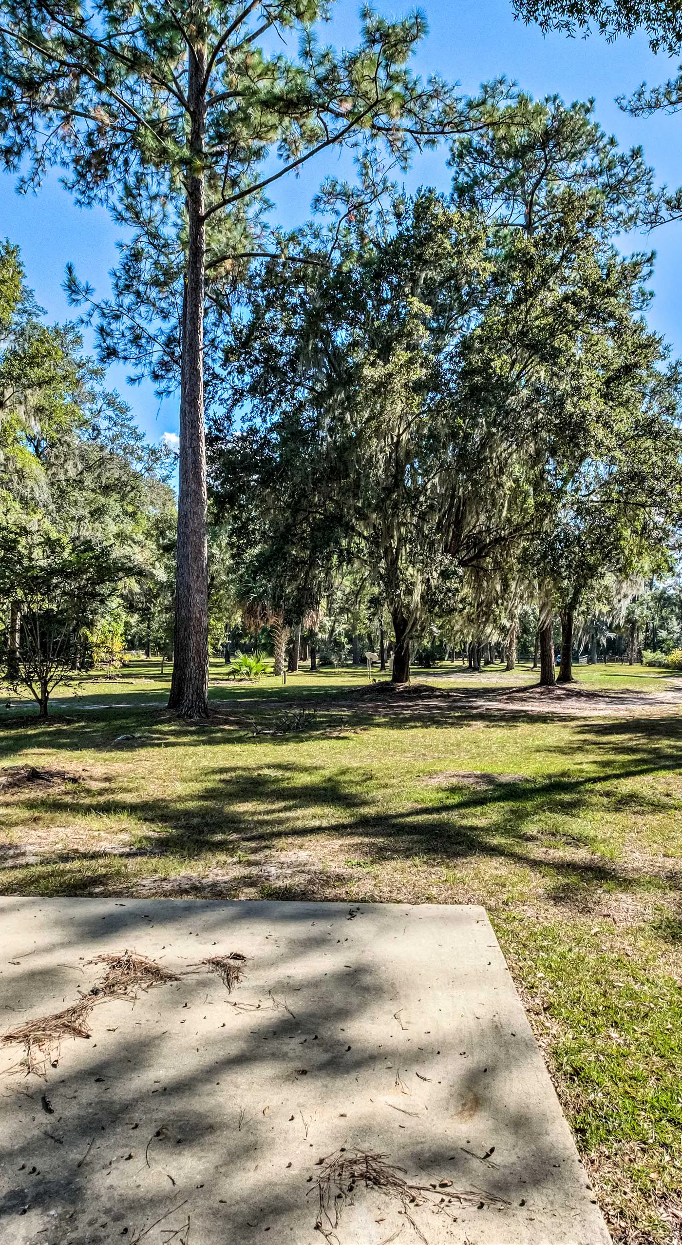 Sunny Abode, 10 Mi to University of Florida!