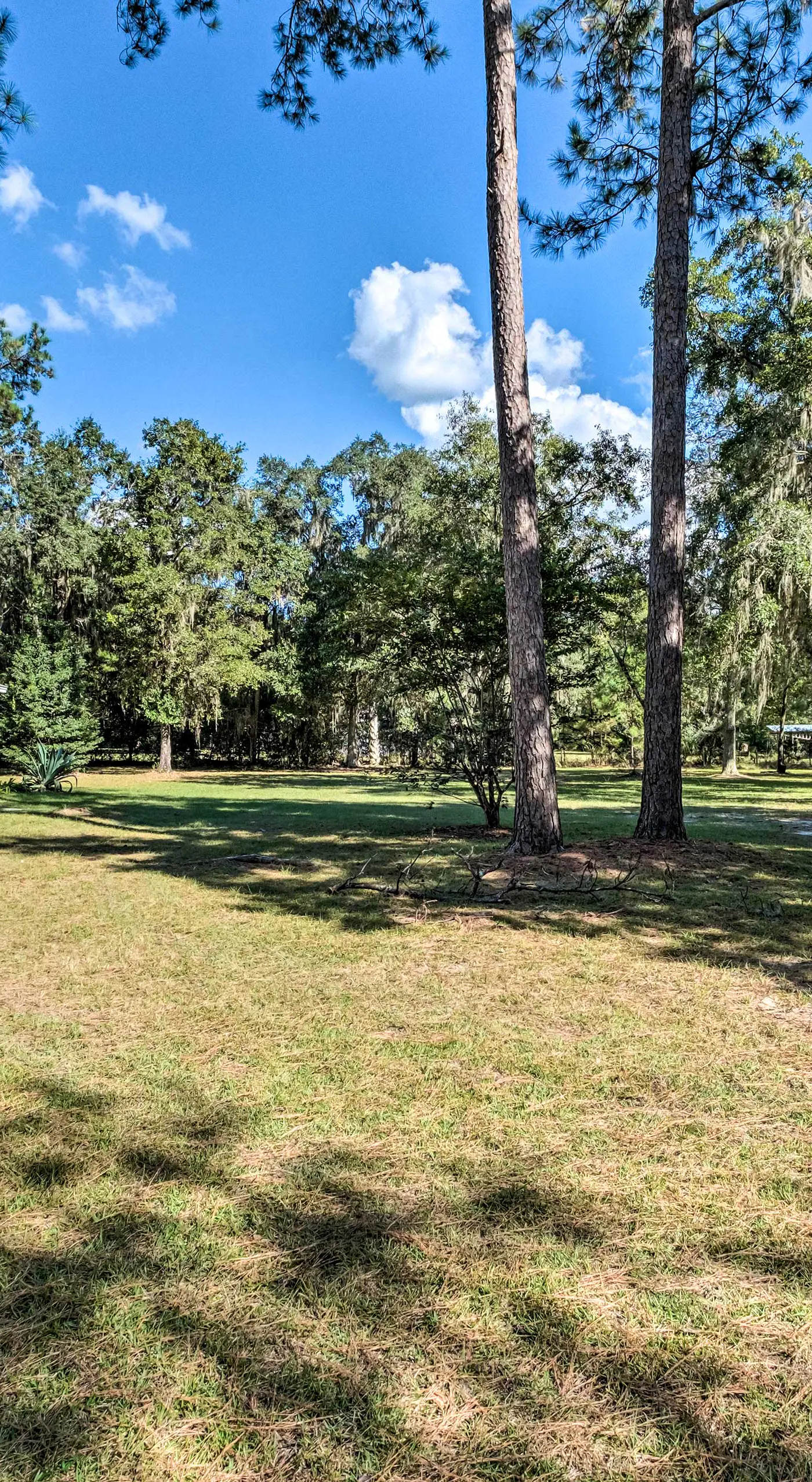 Sunny Abode, 10 Mi to University of Florida!