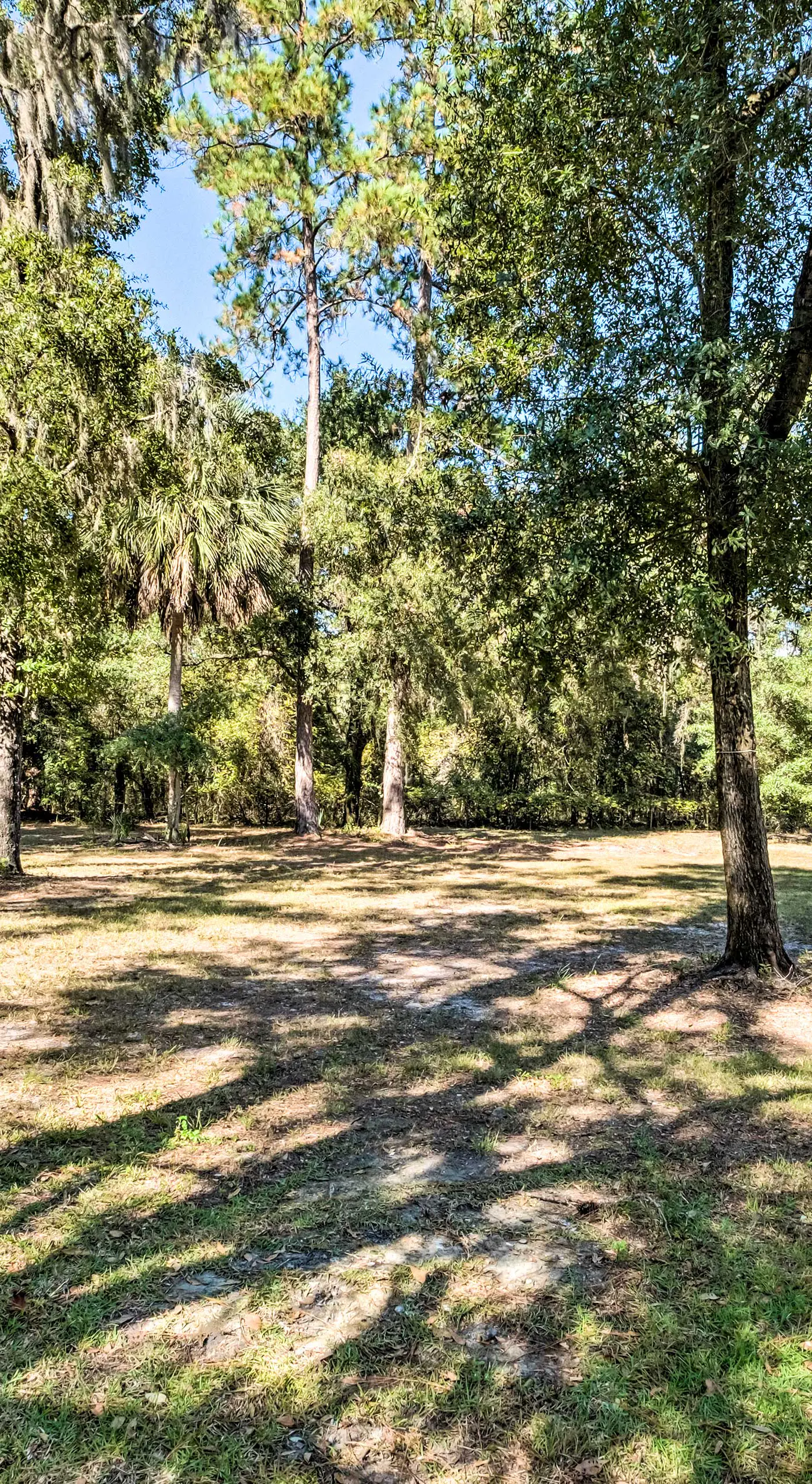 Sunny Abode, 10 Mi to University of Florida!