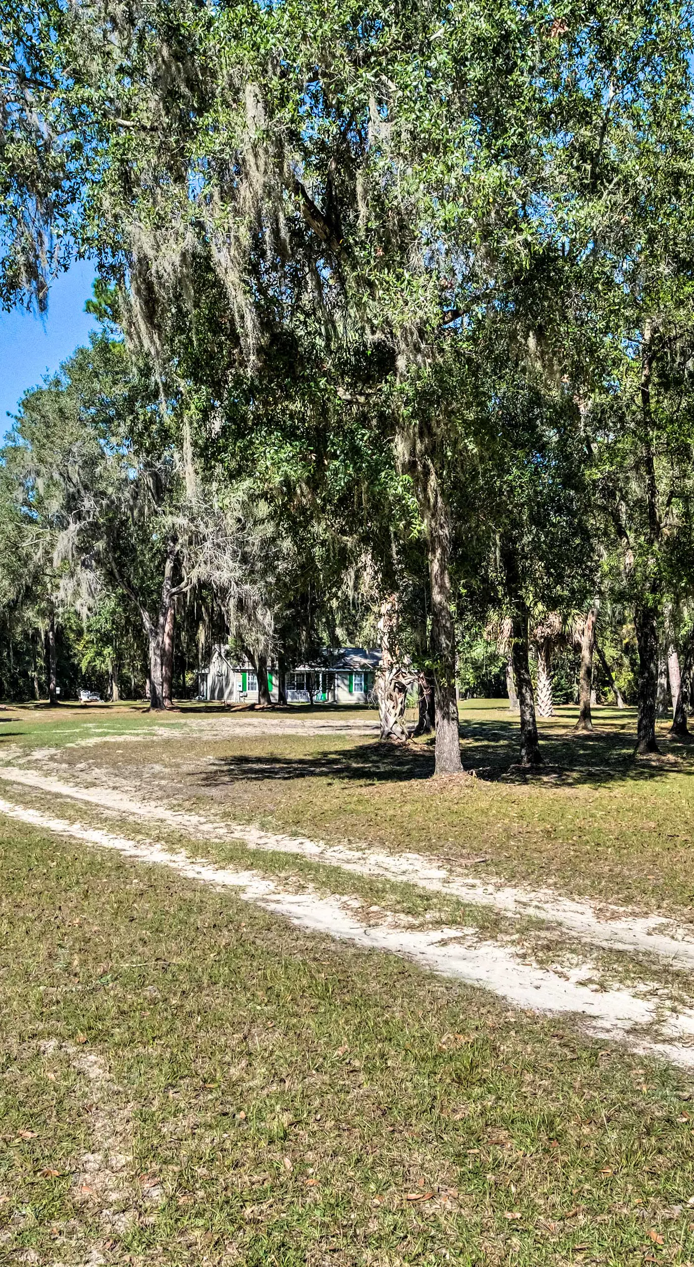 Sunny Abode, 10 Mi to University of Florida!