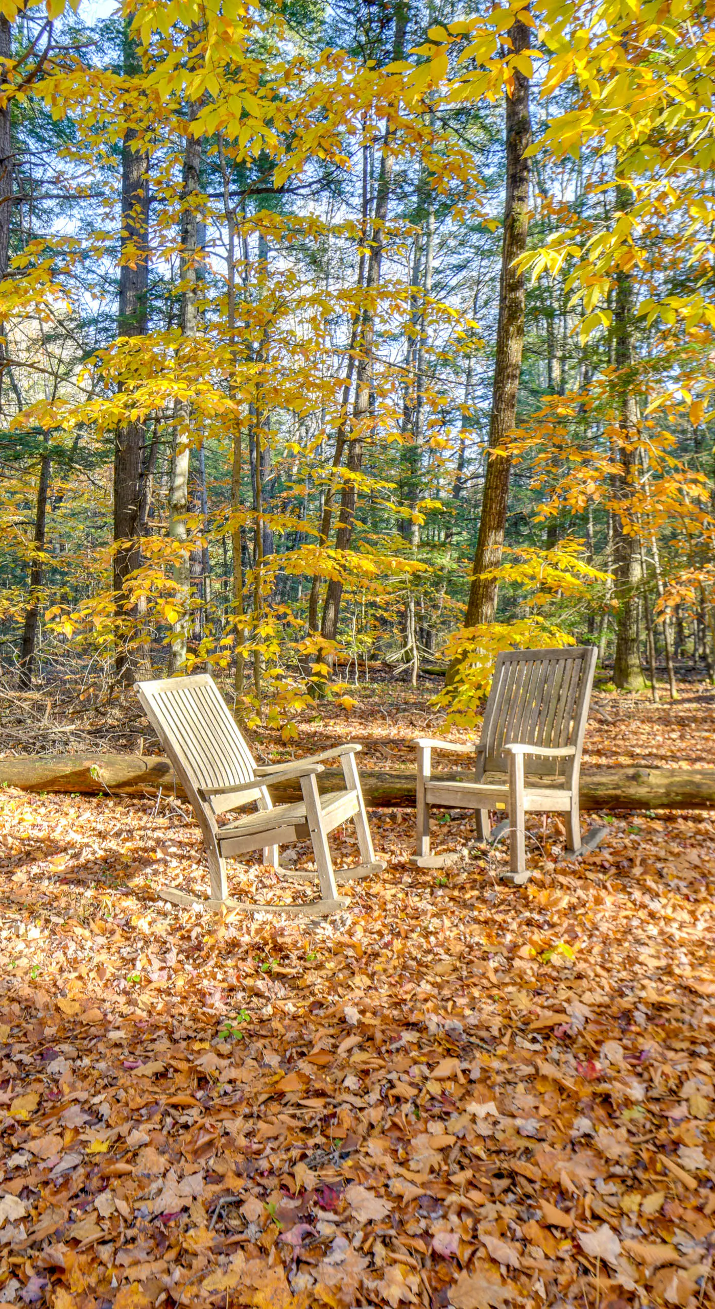 Hot Tub, Near Saco River! Summer Family Getaway