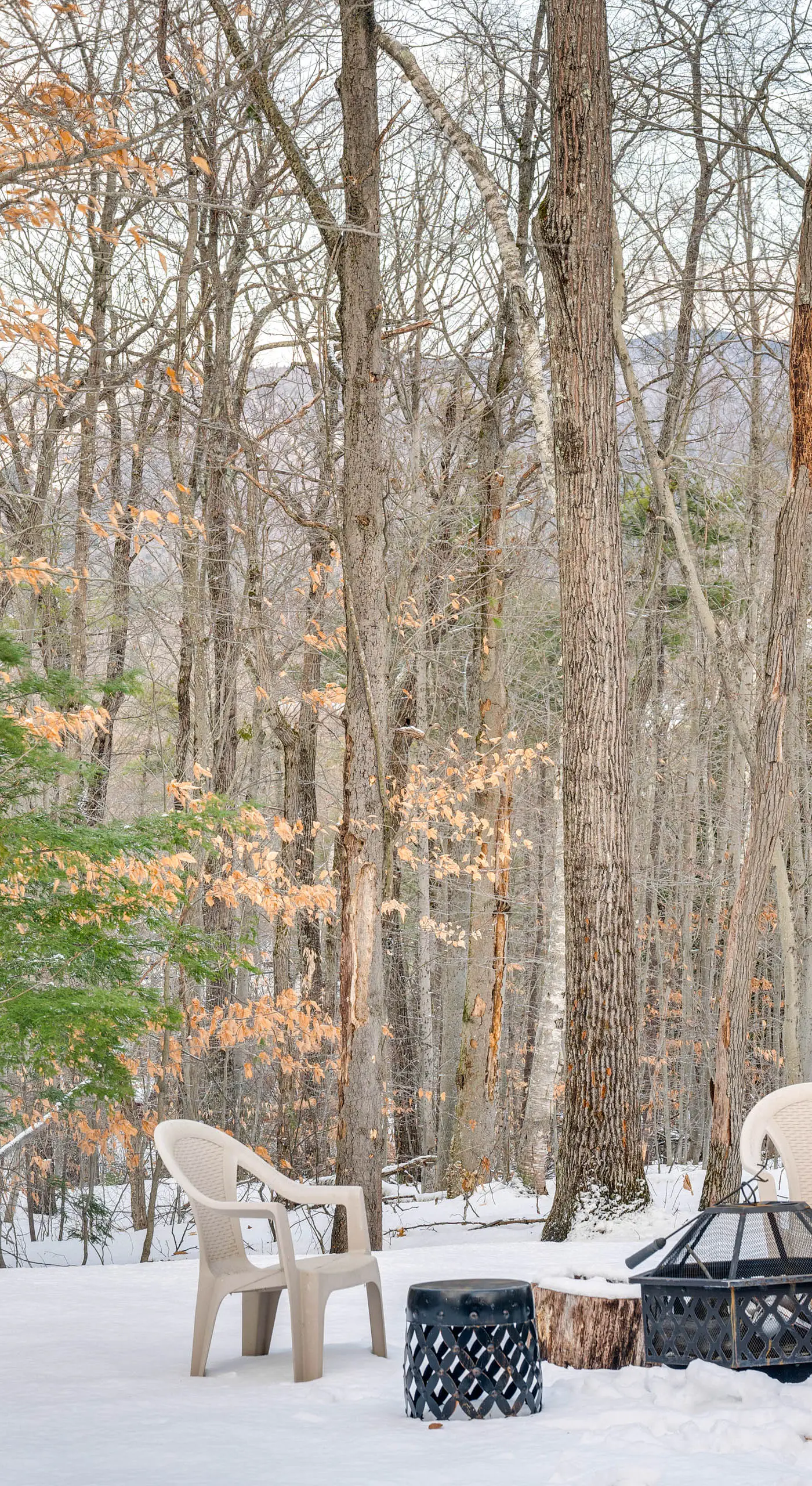 Mtn-View Gem w/ Hot Tub & Fire Pit in North Conway
