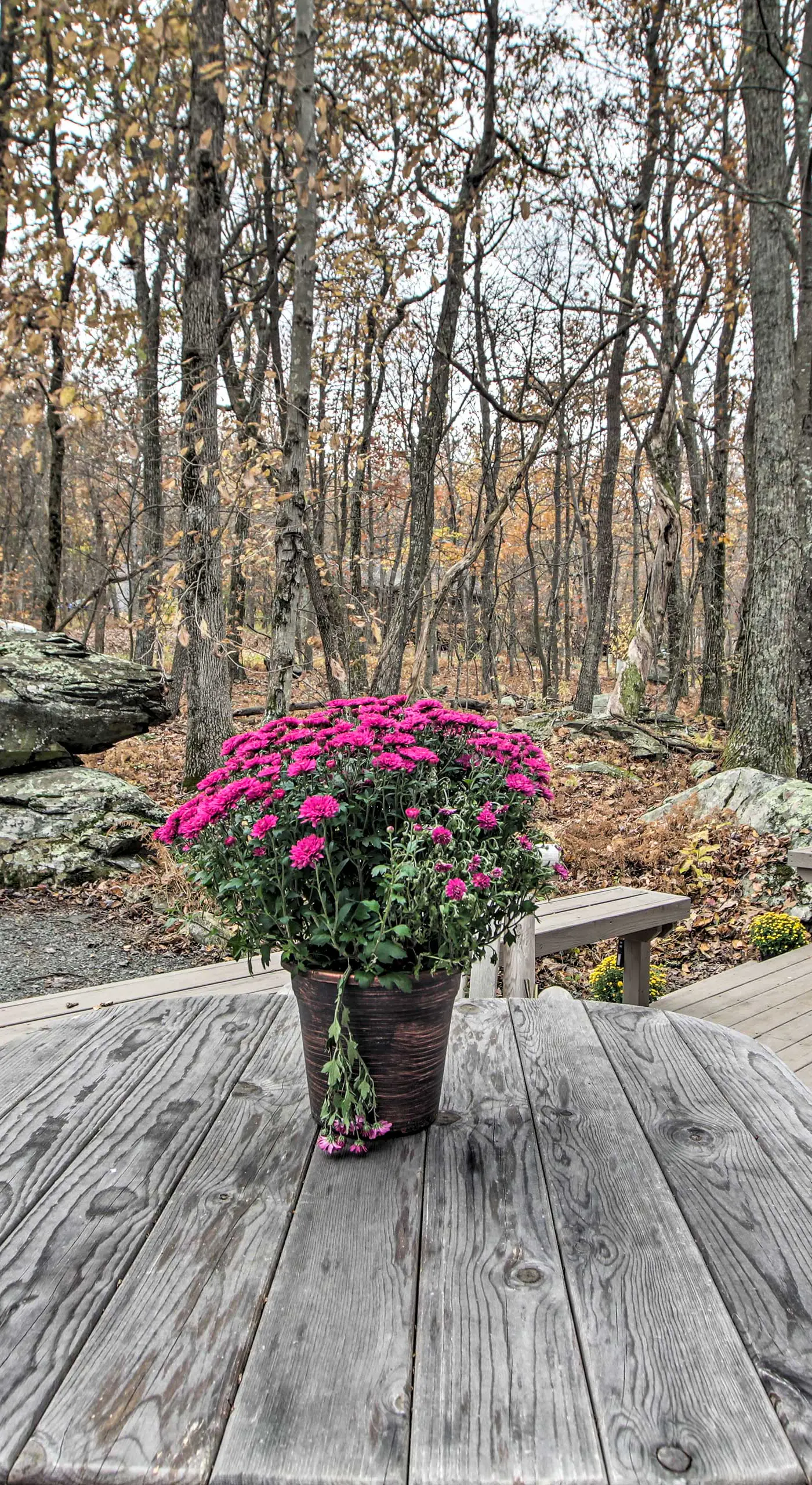 Wintergreen Resort Cabin: Near the Slopes!