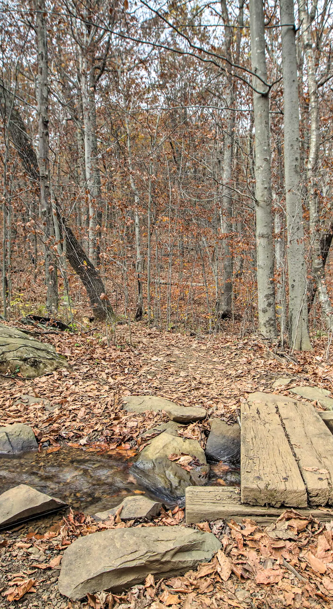 Wintergreen Resort Cabin: Near the Slopes!