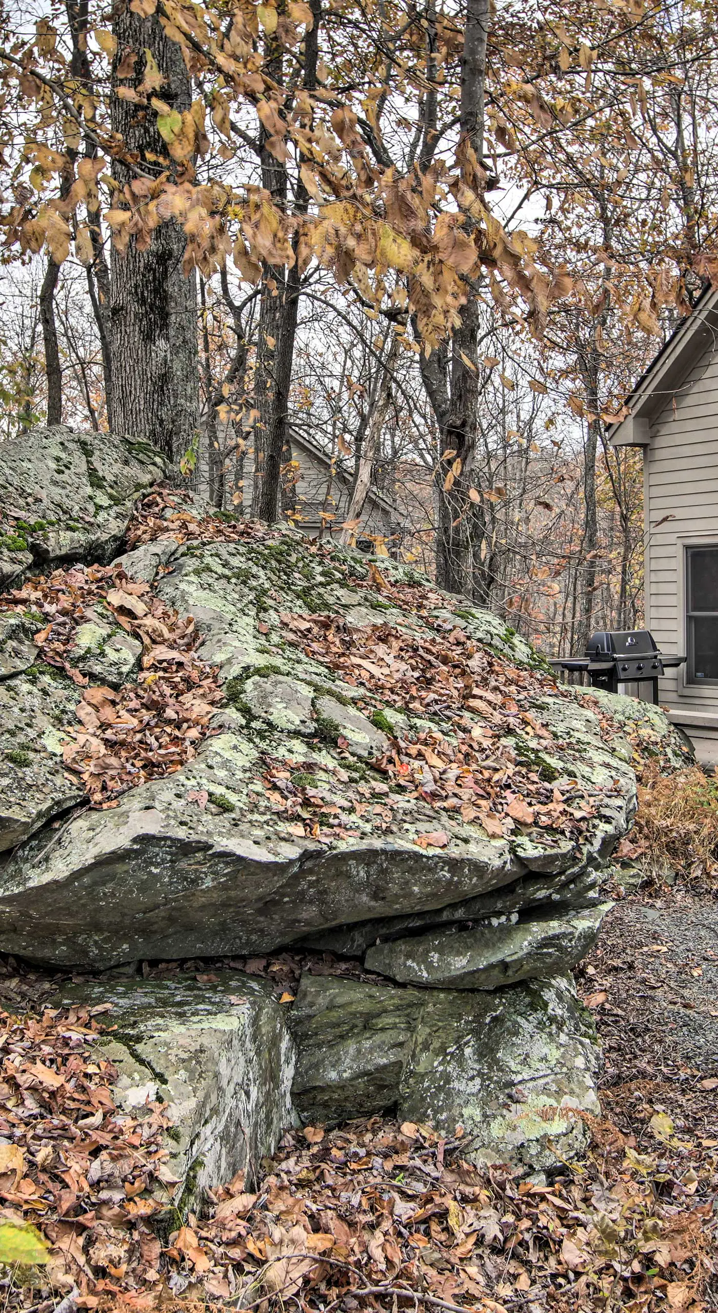 Wintergreen Resort Cabin: Near the Slopes!