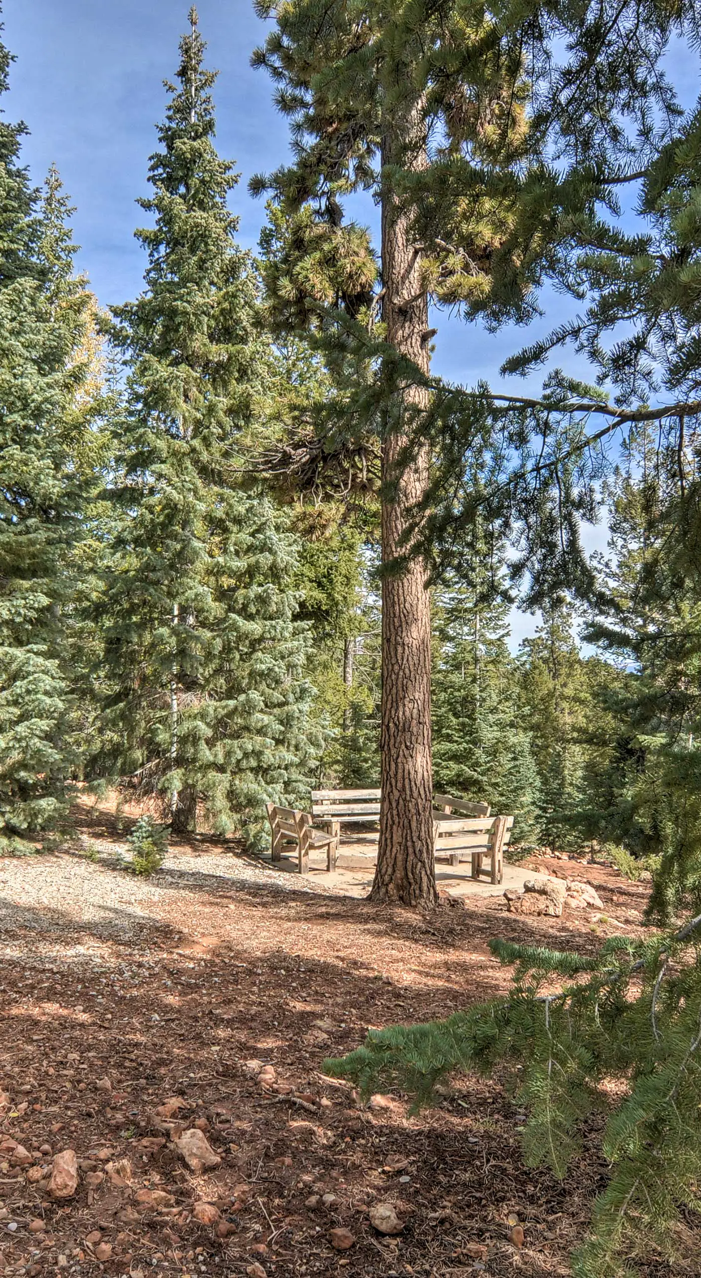 Duck Creek Village Cabin w/ Deck on Half Acre