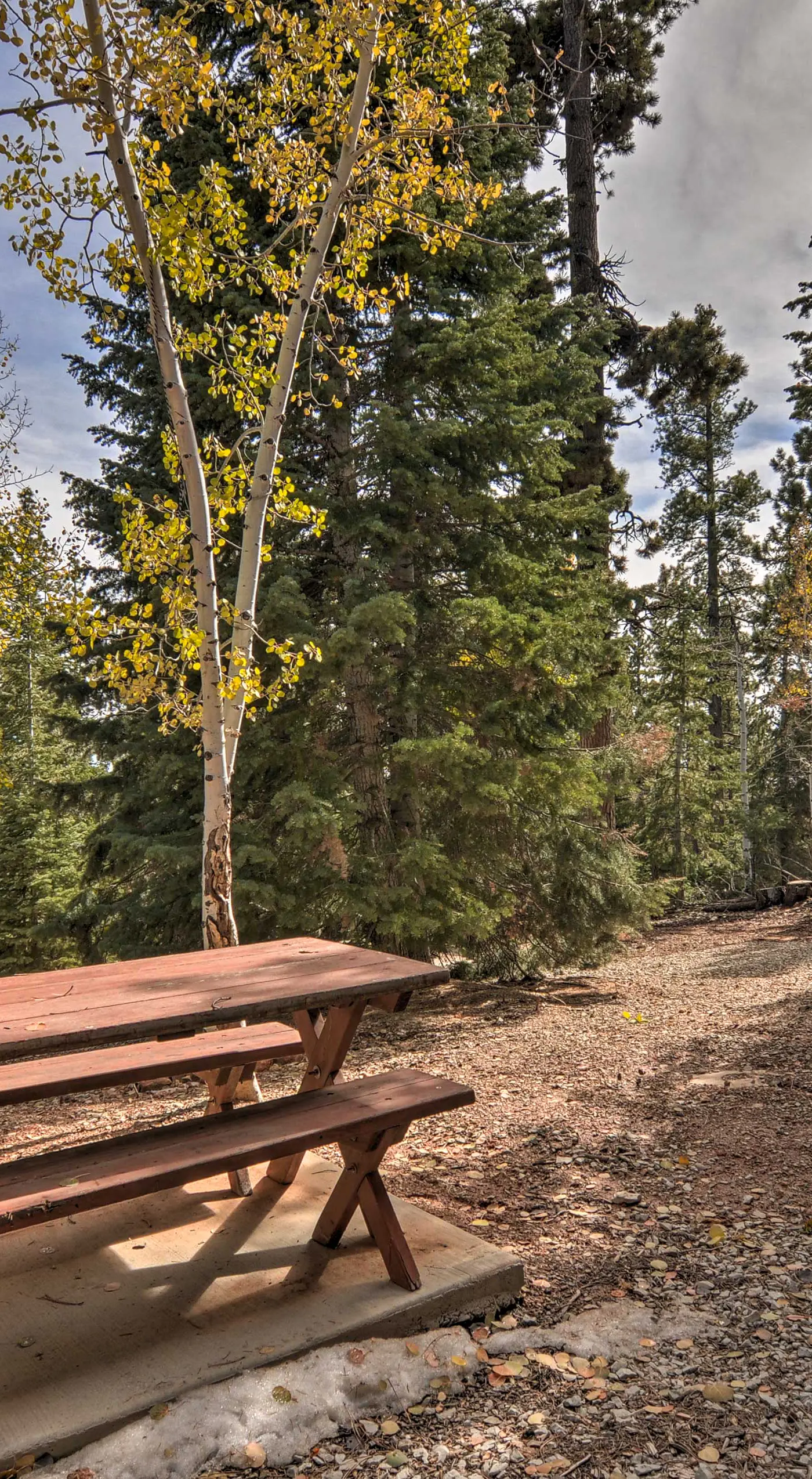 Duck Creek Village Cabin w/ Deck on Half Acre