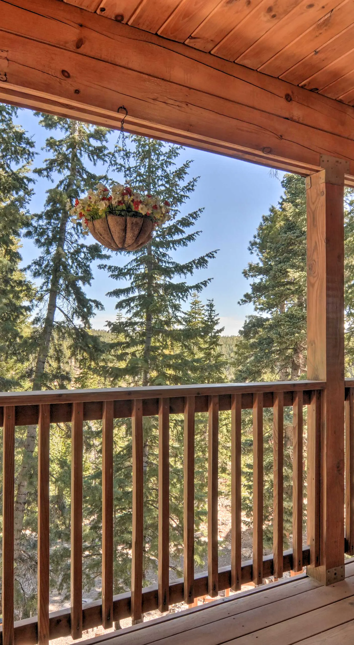 Cozy 'Nora's Hideaway' - Charming, Quiet Log Cabin