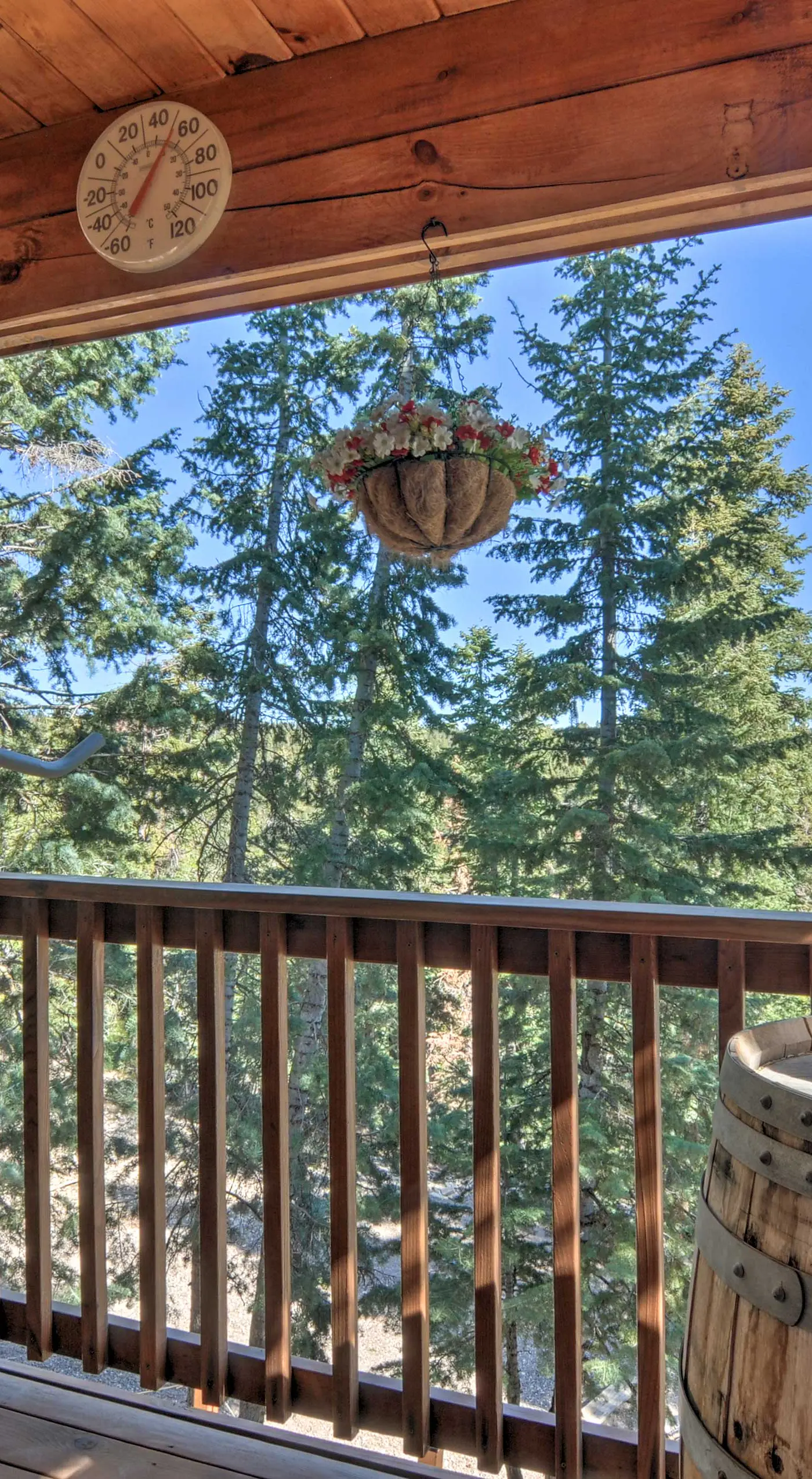 Cozy 'Nora's Hideaway' - Charming, Quiet Log Cabin