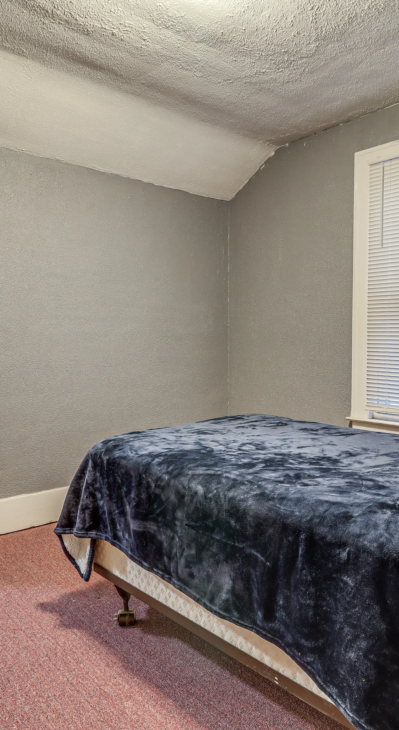 Easy Dtwn Detroit Access: Pet-Friendly Family Home