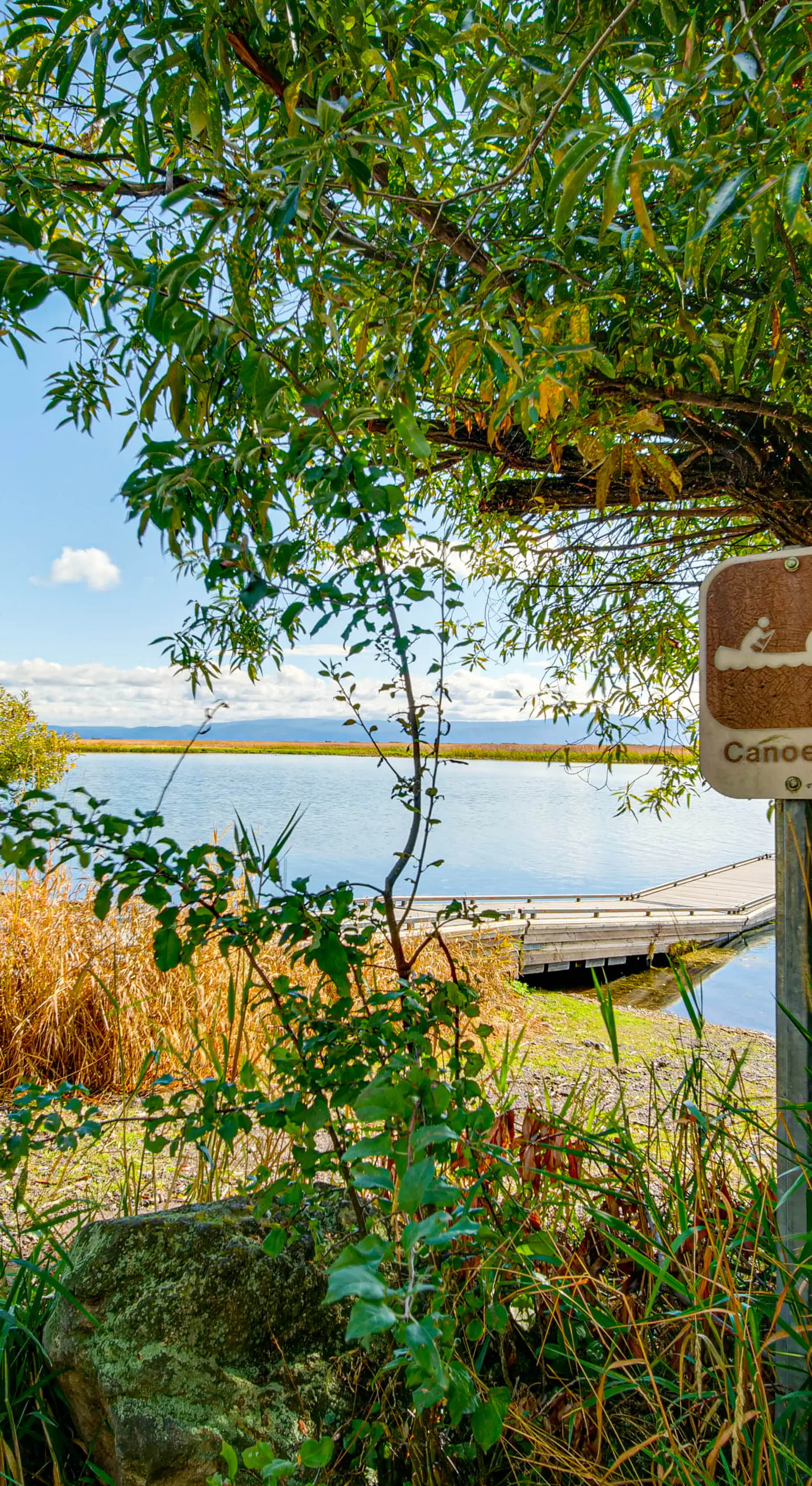 Forest Cabin by Crater Lake & Klamath Falls