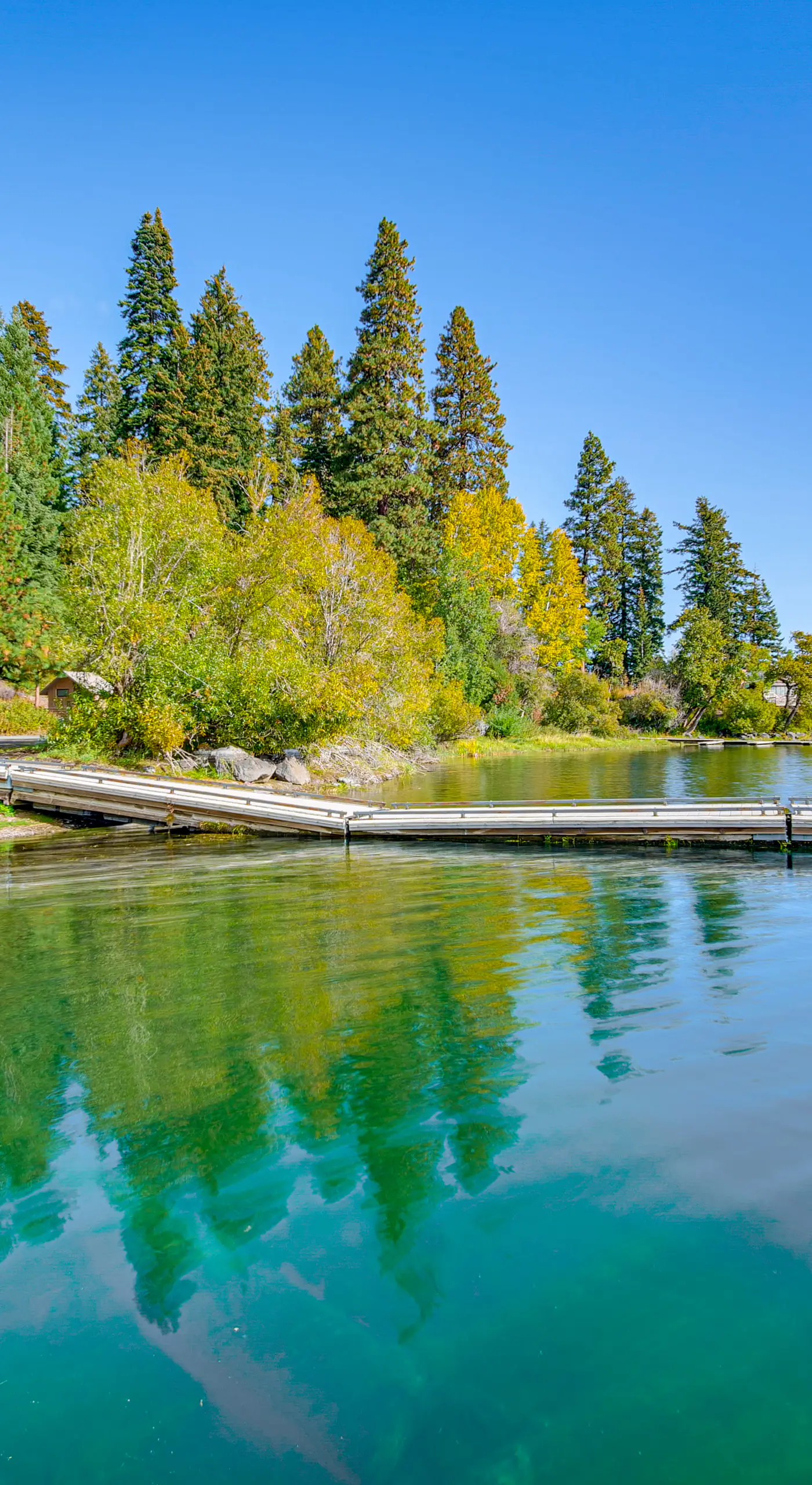 Forest Cabin by Crater Lake & Klamath Falls