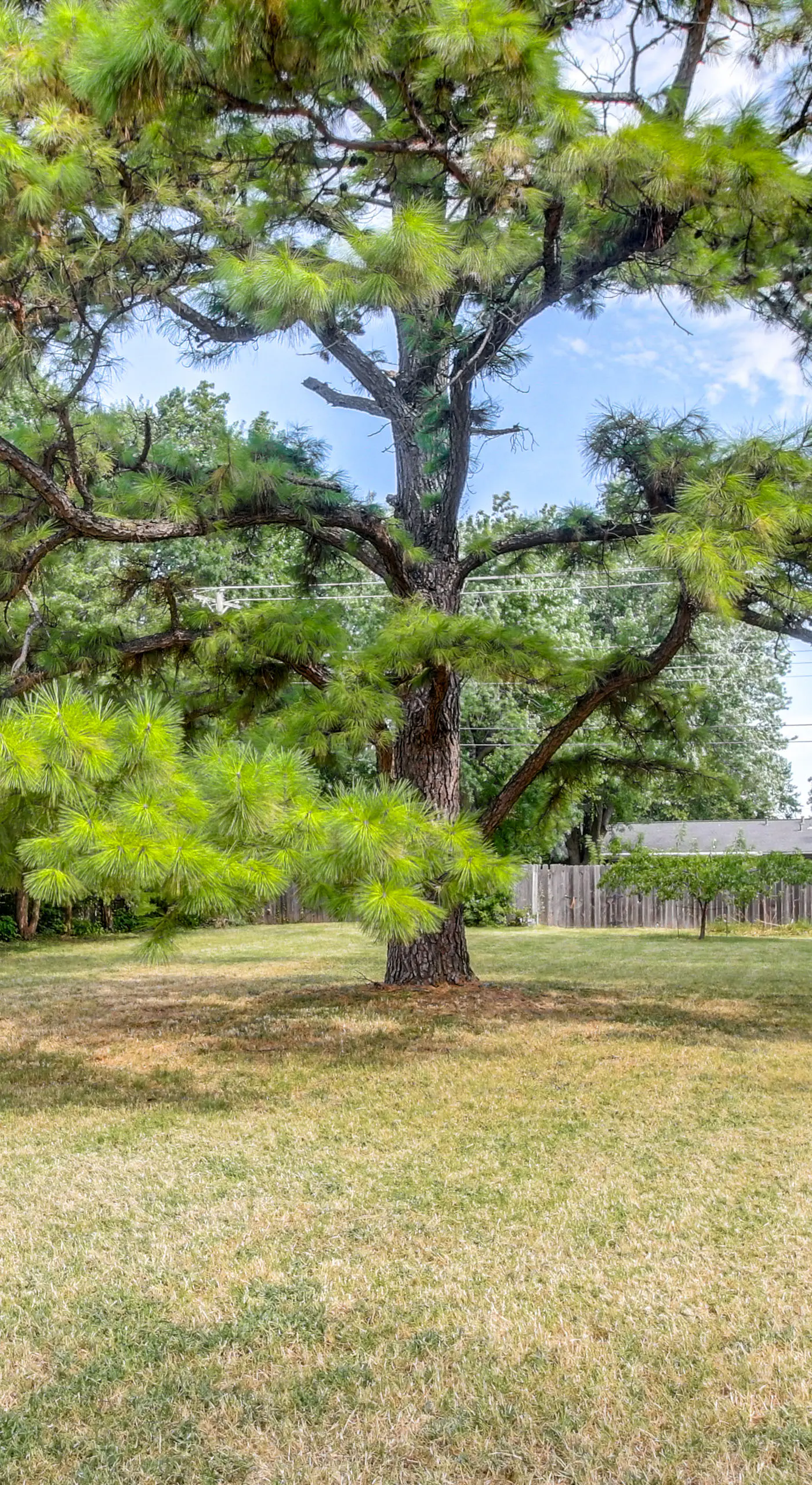3 Mi to OU Campus: Norman Home w/ Sleek Interior!