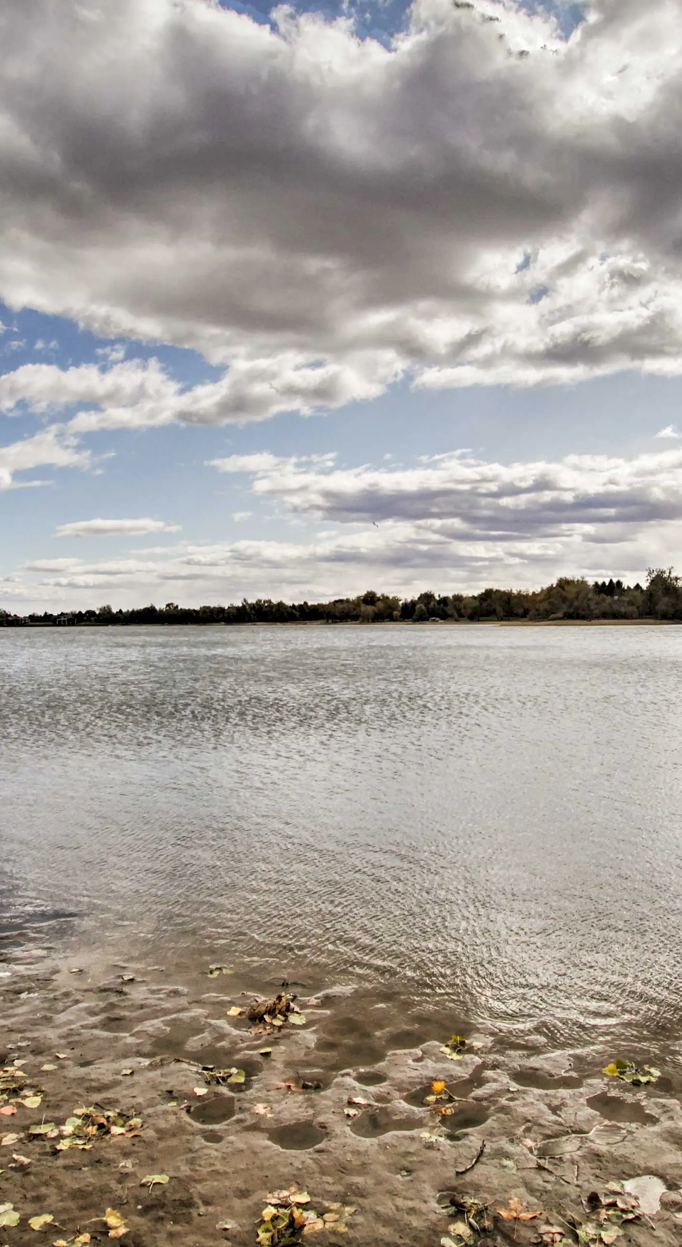 Lakefront Fort Collins Townhome, Only 3 Mi to CSU!