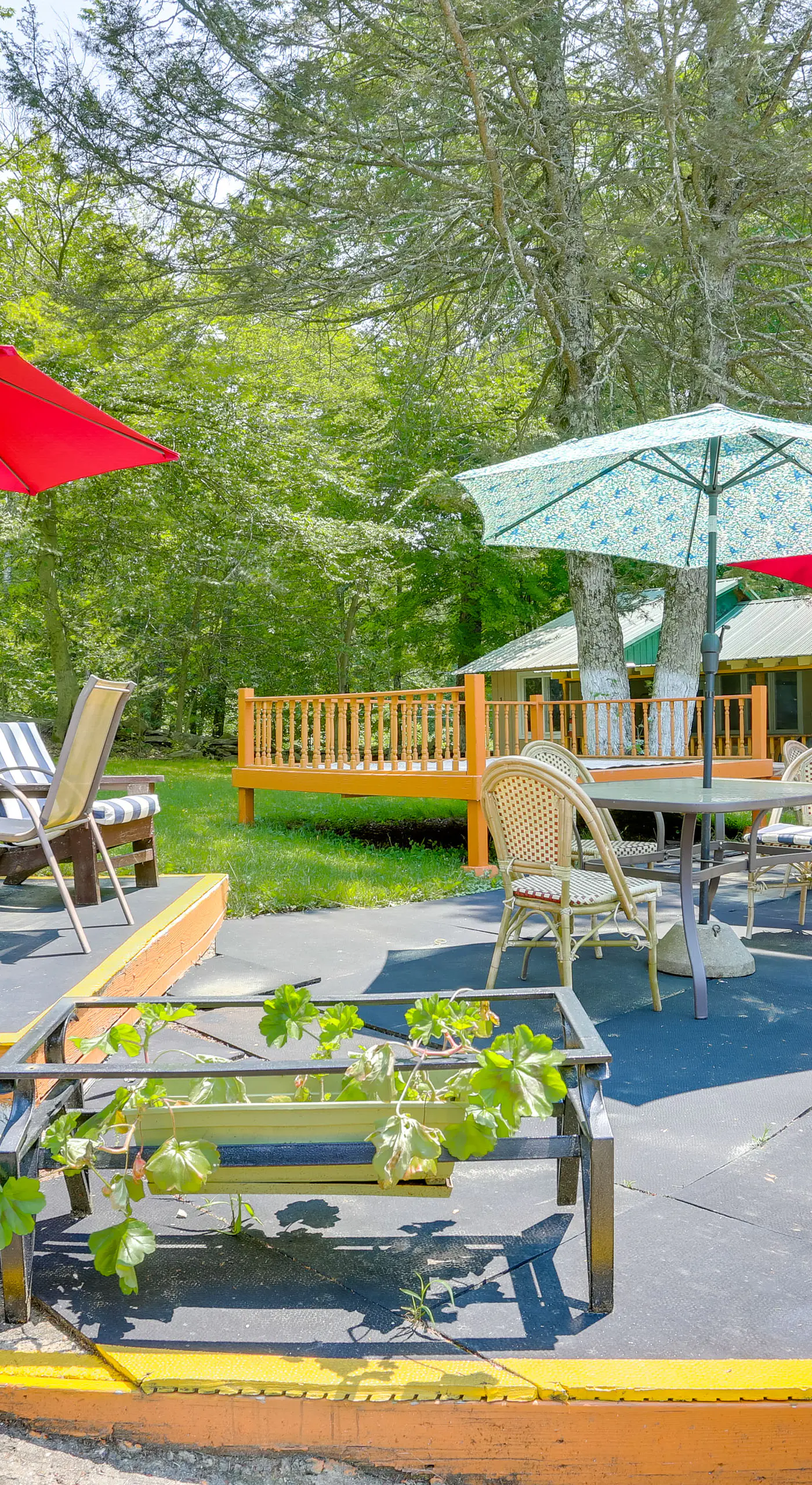 5 Mi to Swinging Bridge Reservoir: Cabin w/ Porch!