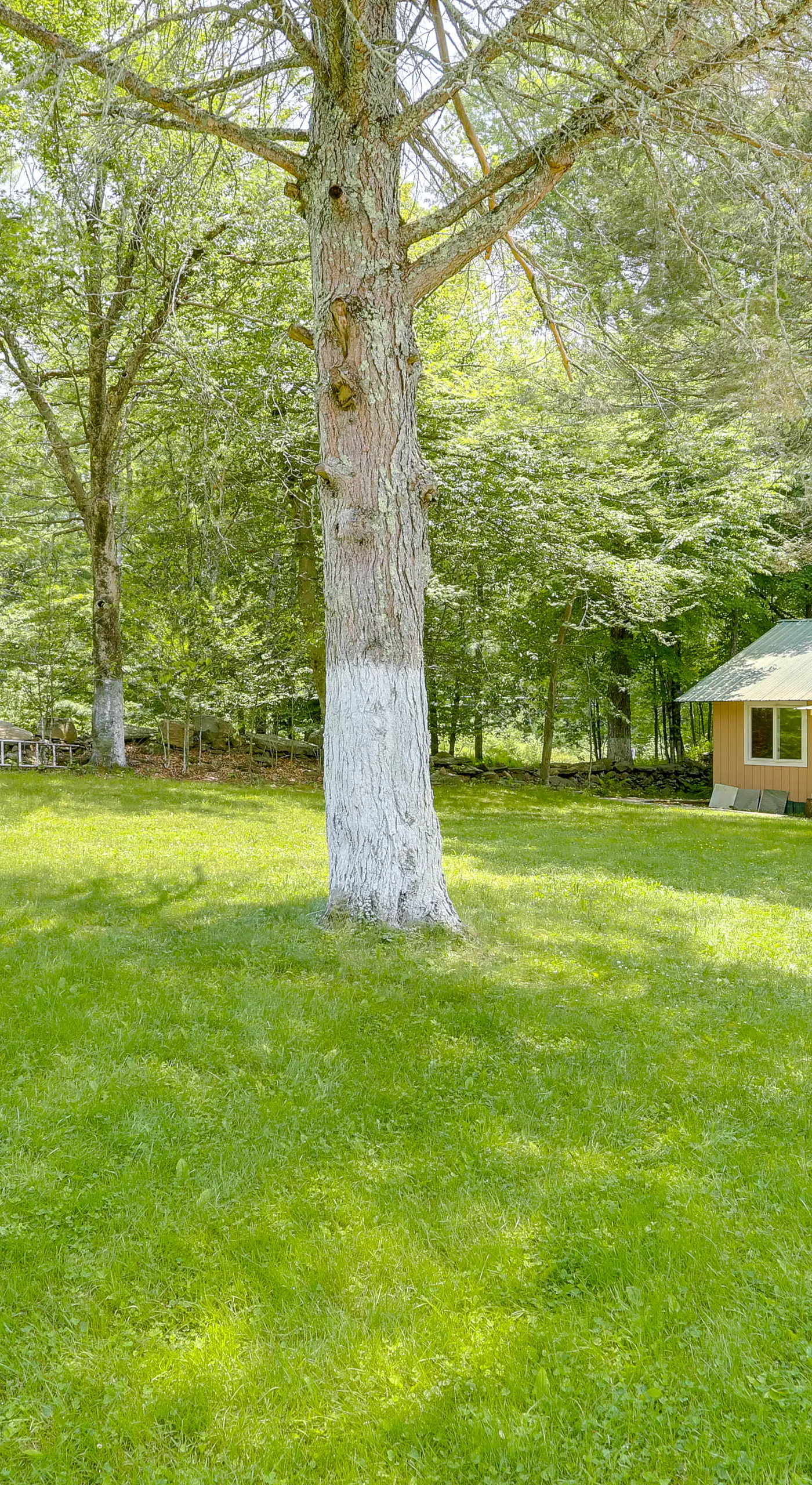 5 Mi to Swinging Bridge Reservoir: Cabin w/ Porch!